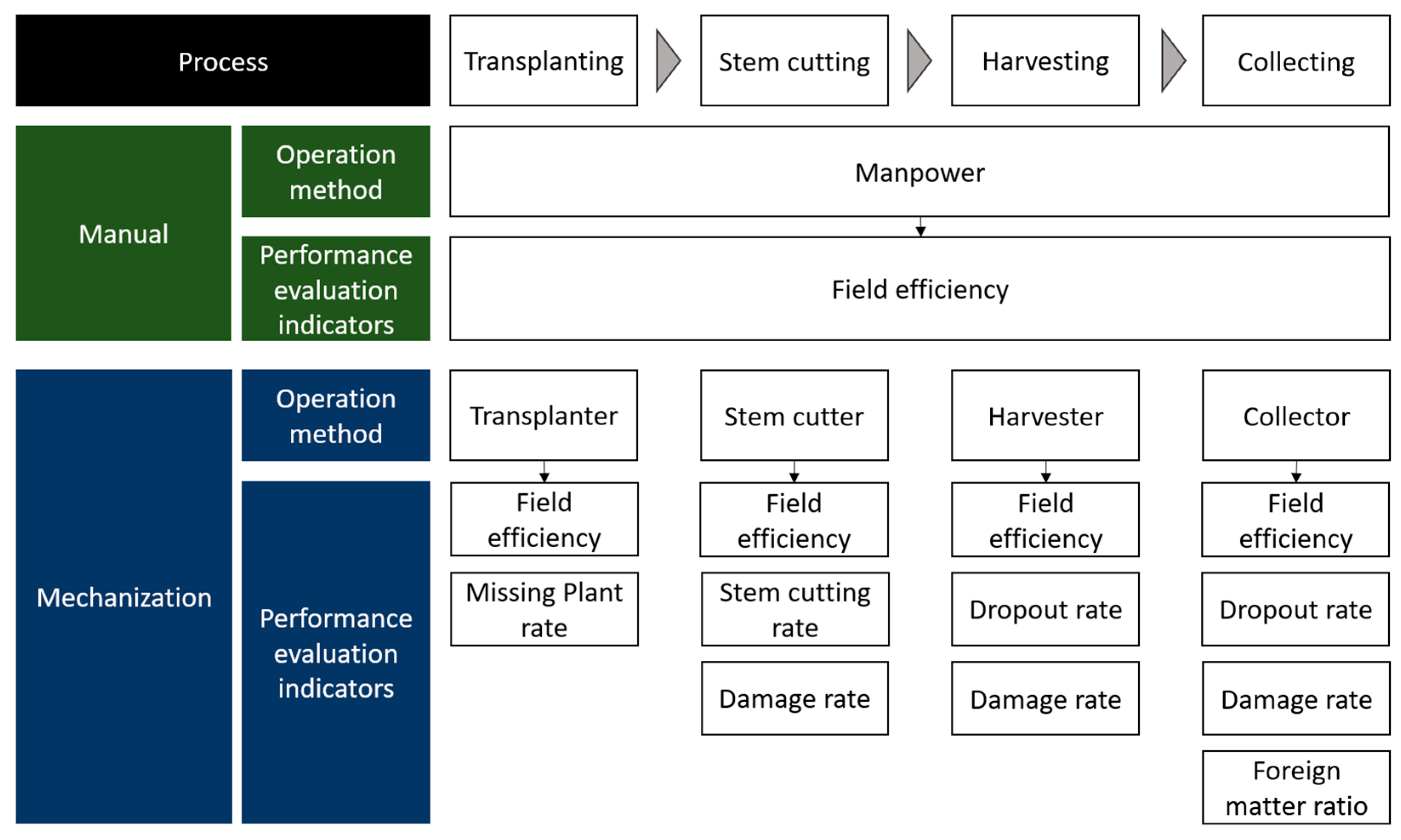 Agronomy 15 01721 g003