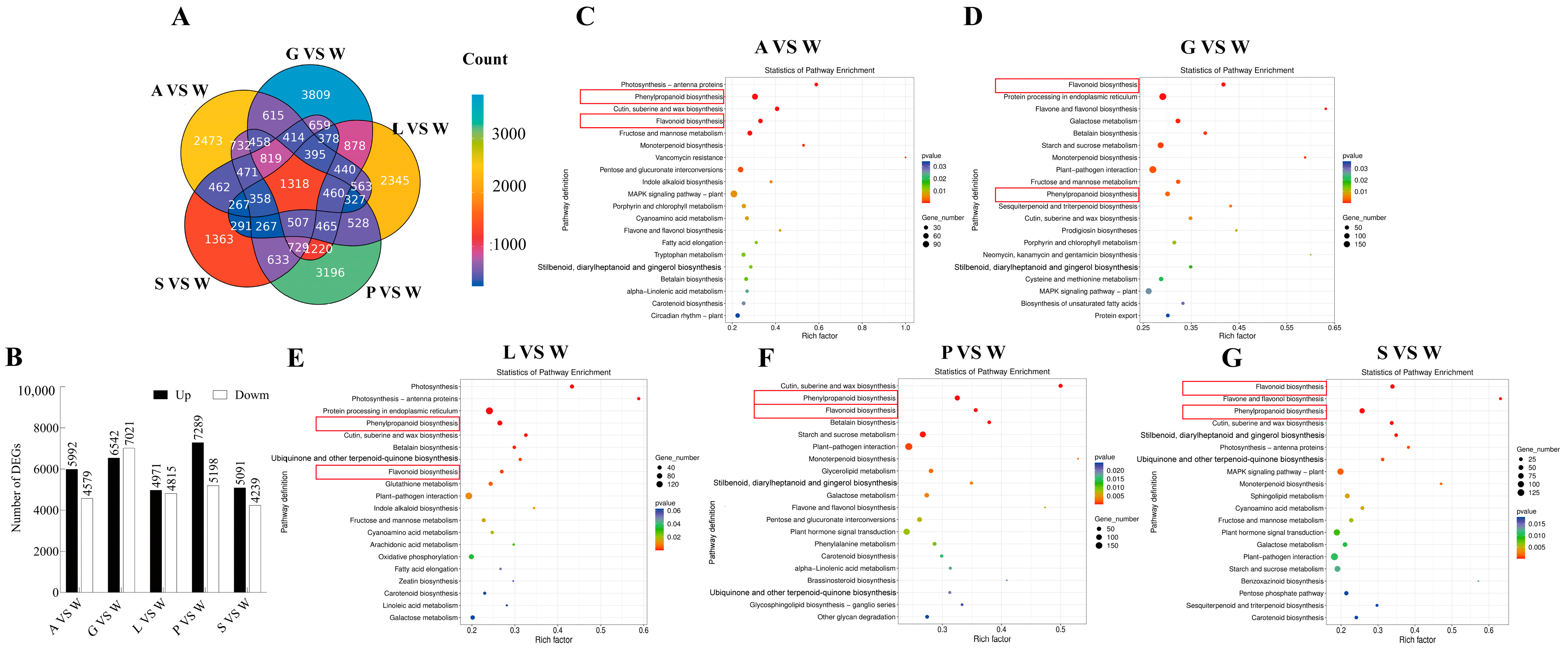 Agronomy 15 01722 g003