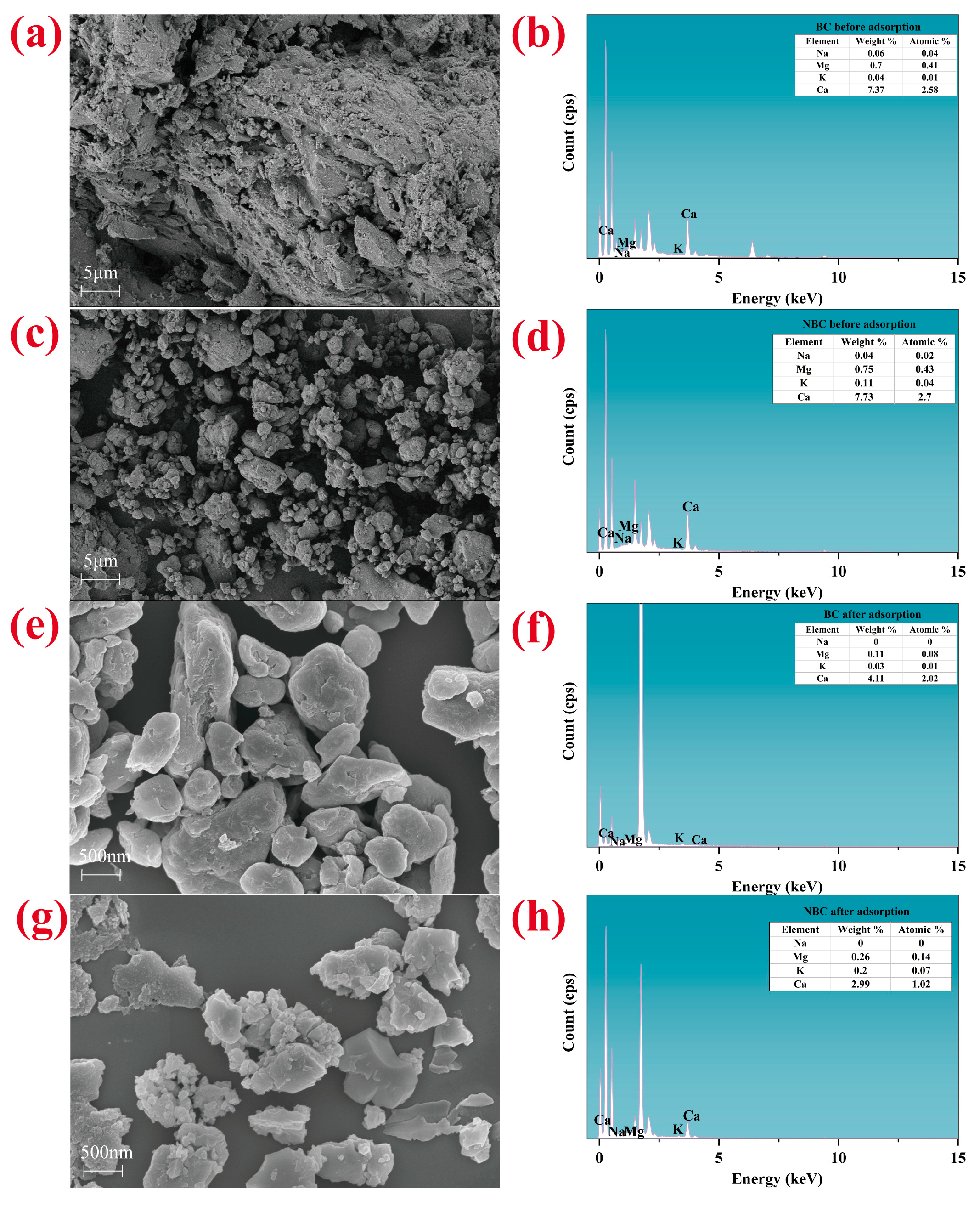 Agronomy 15 01723 g001
