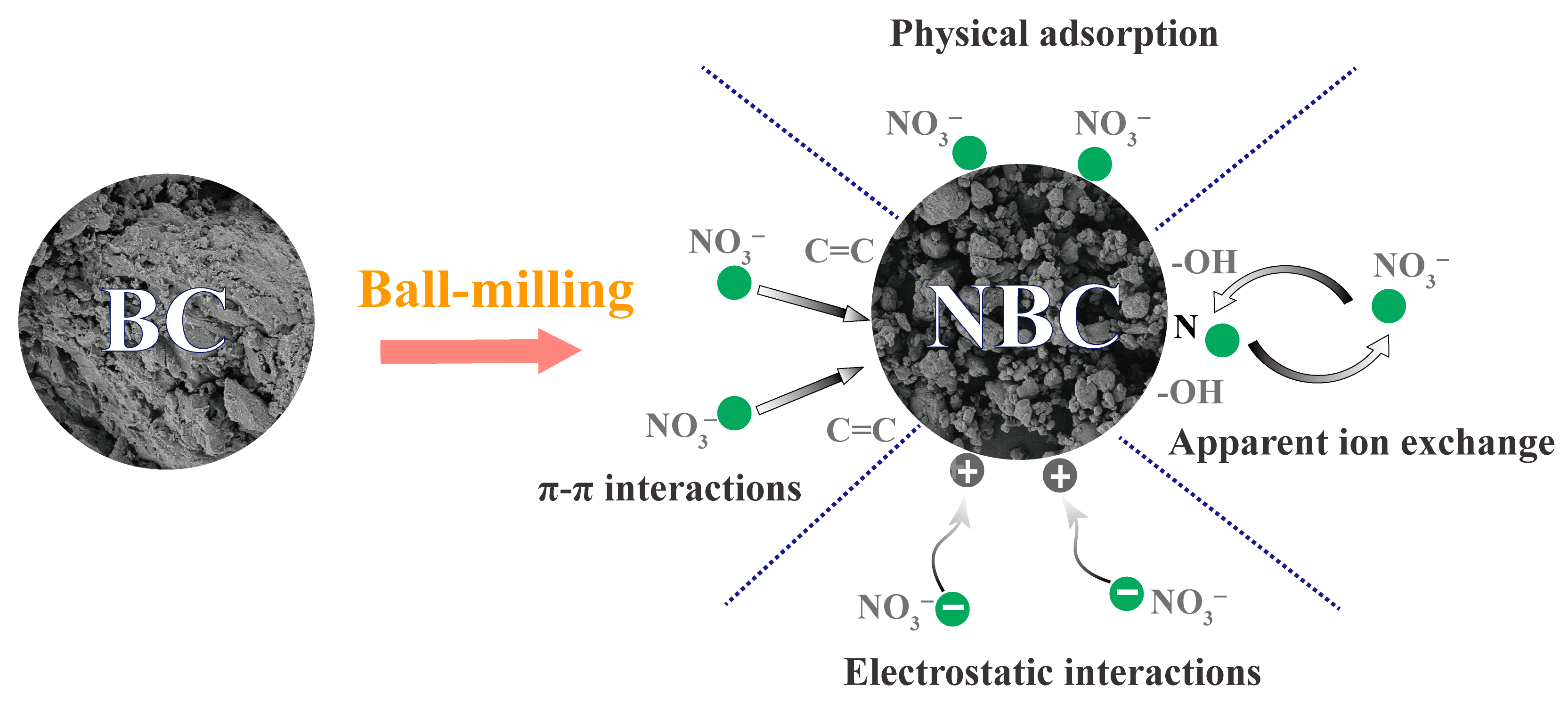 Agronomy 15 01723 g008