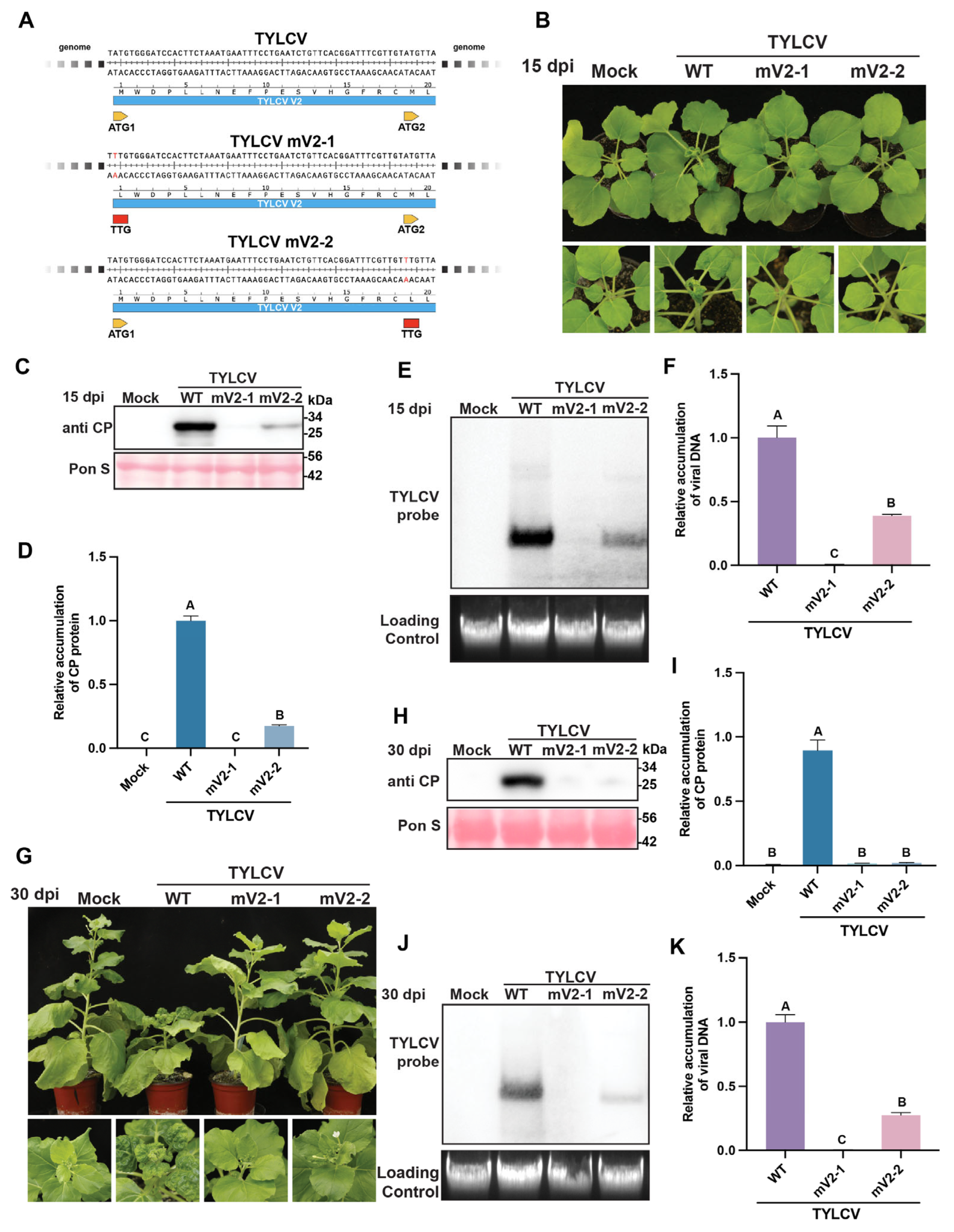 Agronomy 15 01726 g002