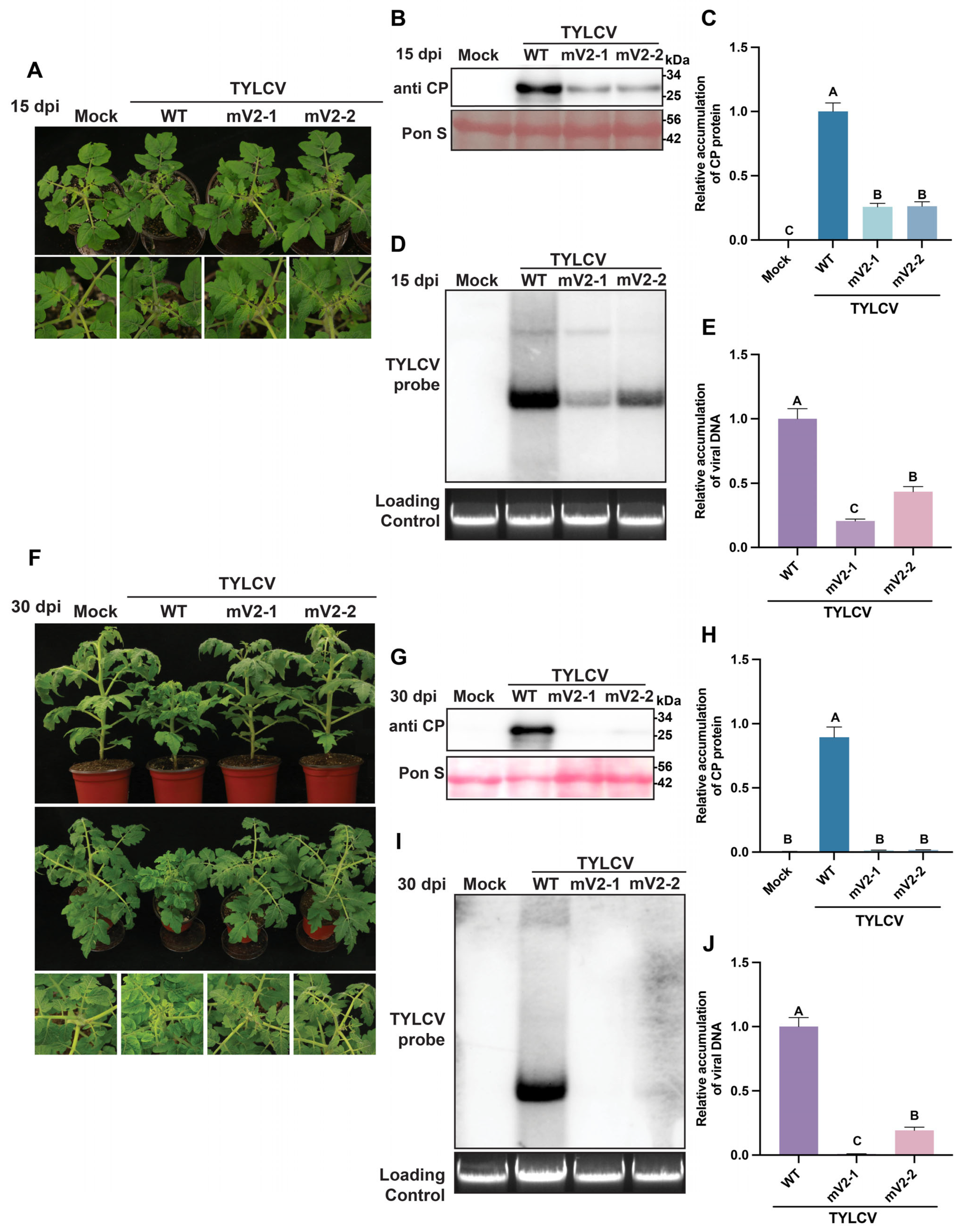 Agronomy 15 01726 g003