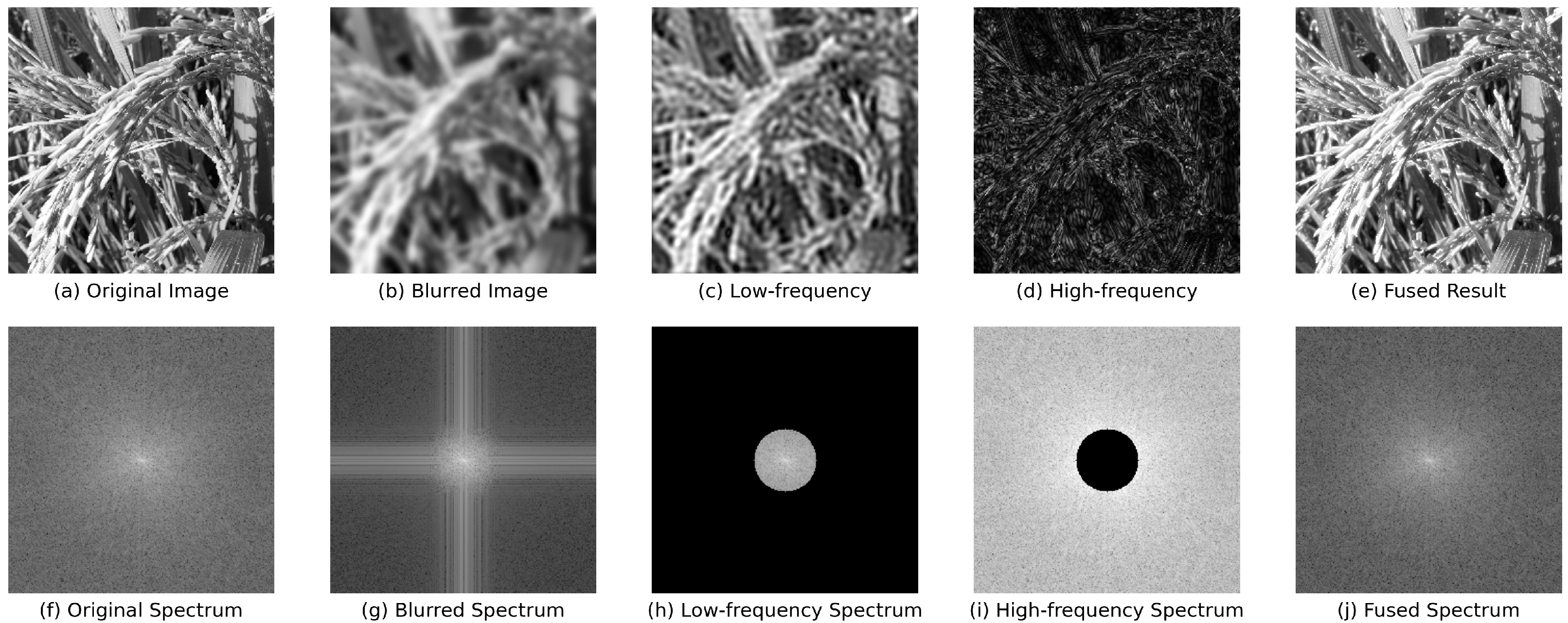 Agronomy 15 01729 g002
