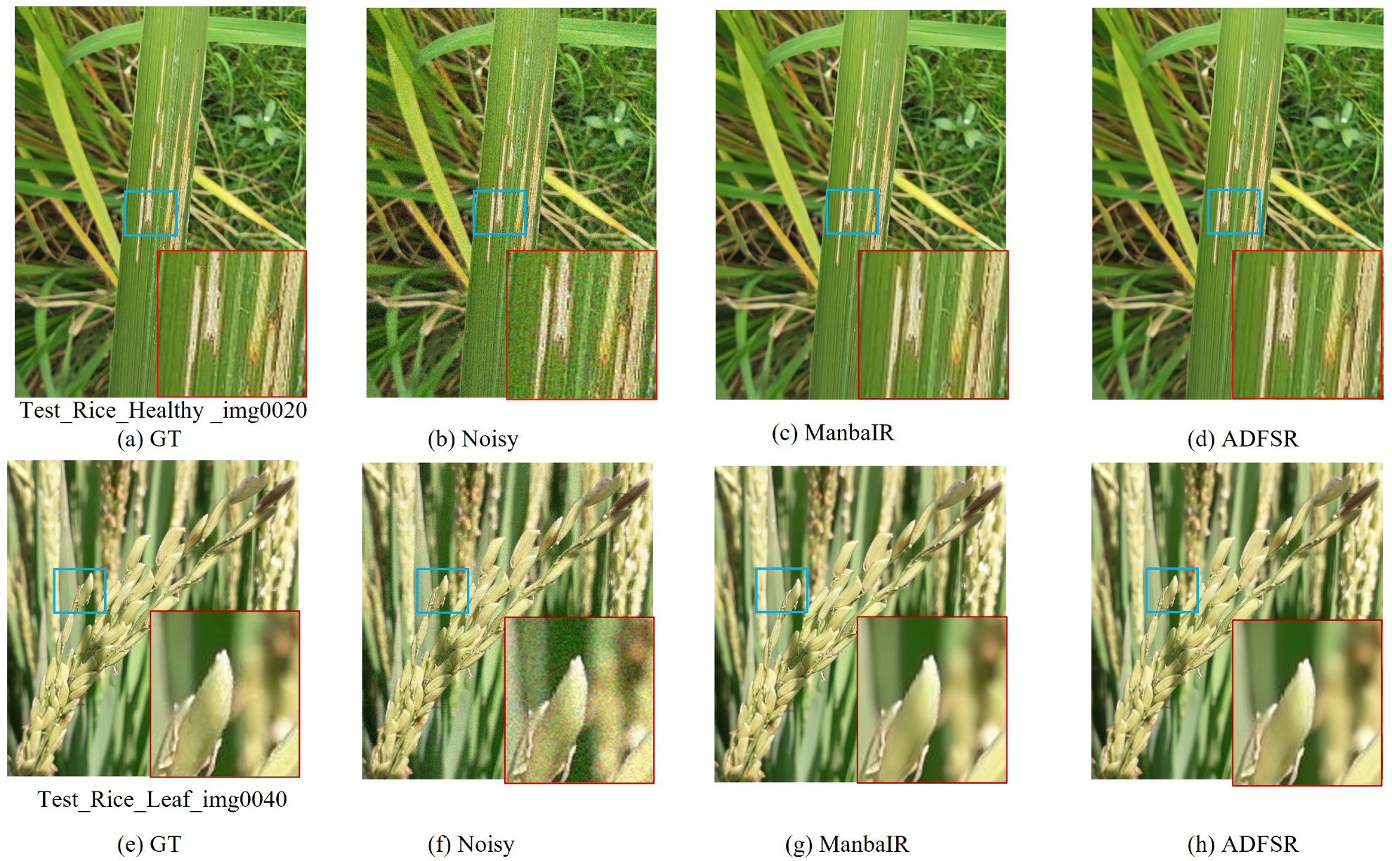 Agronomy 15 01729 g008