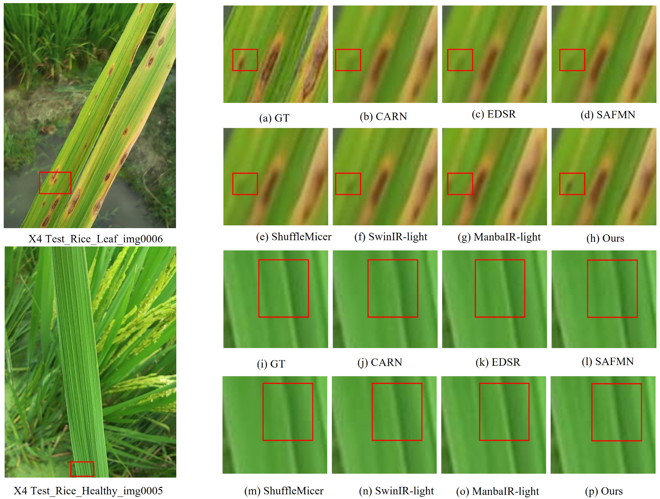 Agronomy 15 01729 g009