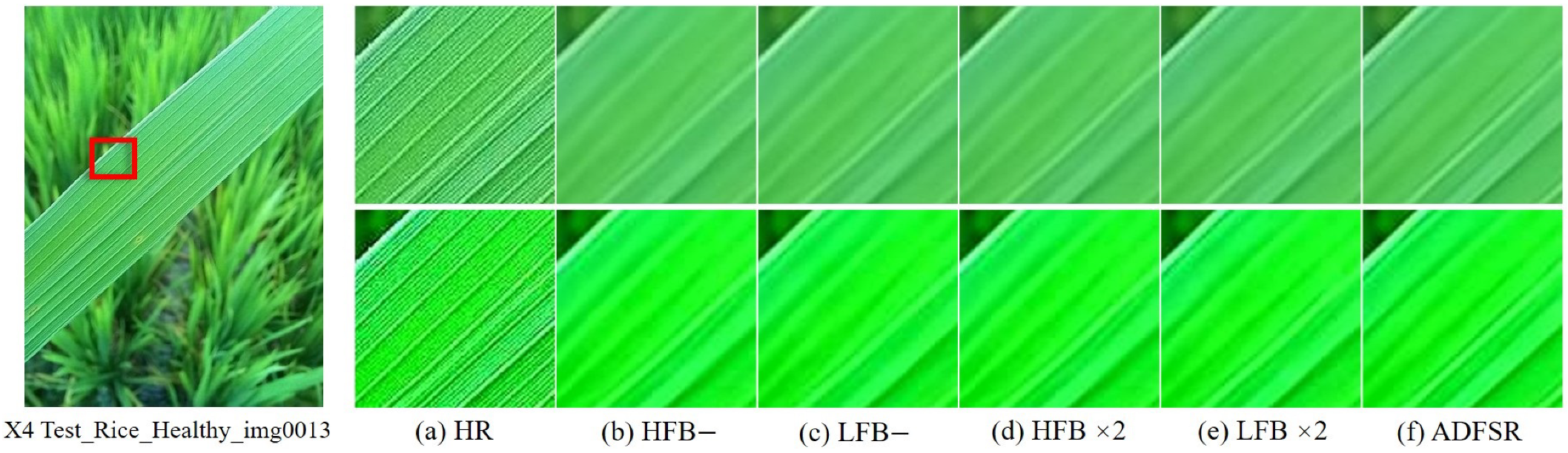 Agronomy 15 01729 g012