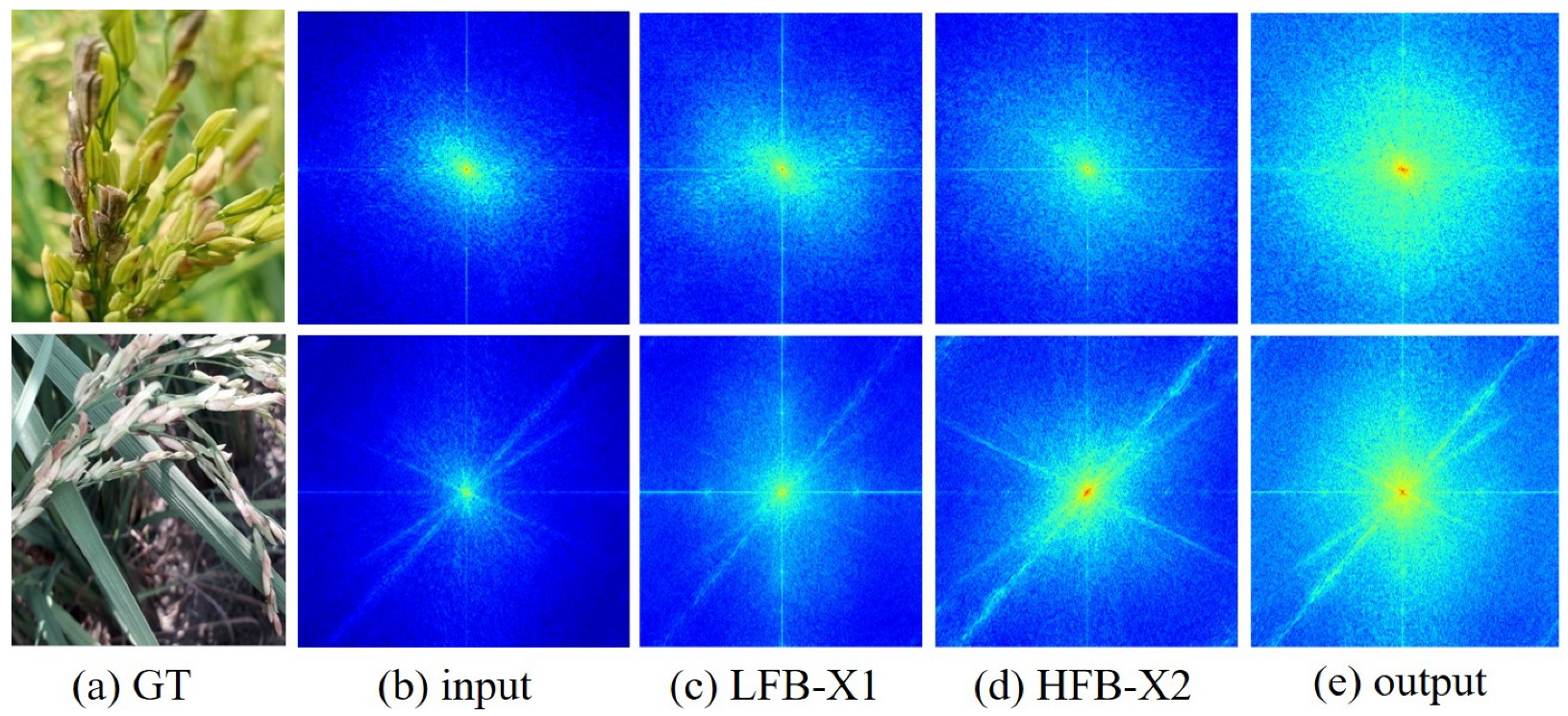 Agronomy 15 01729 g013