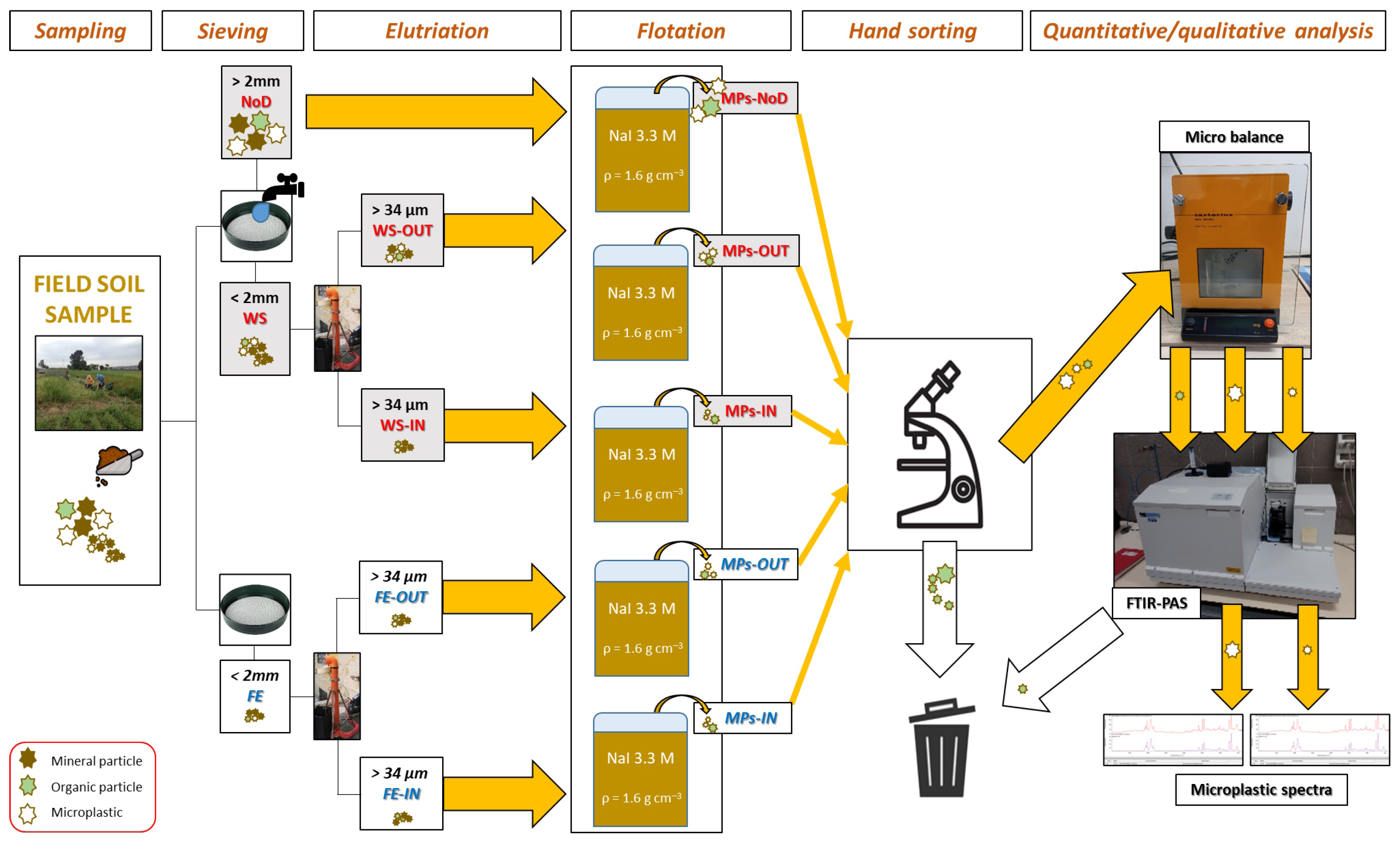 Agronomy 15 01736 g001