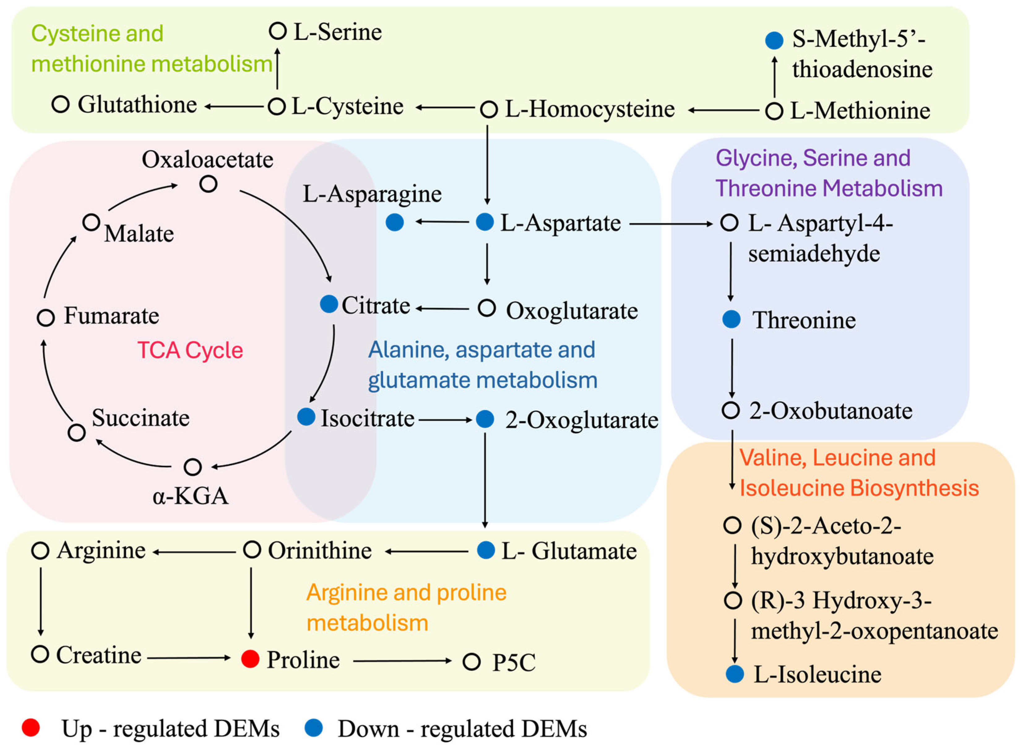 Agronomy 15 01738 g008