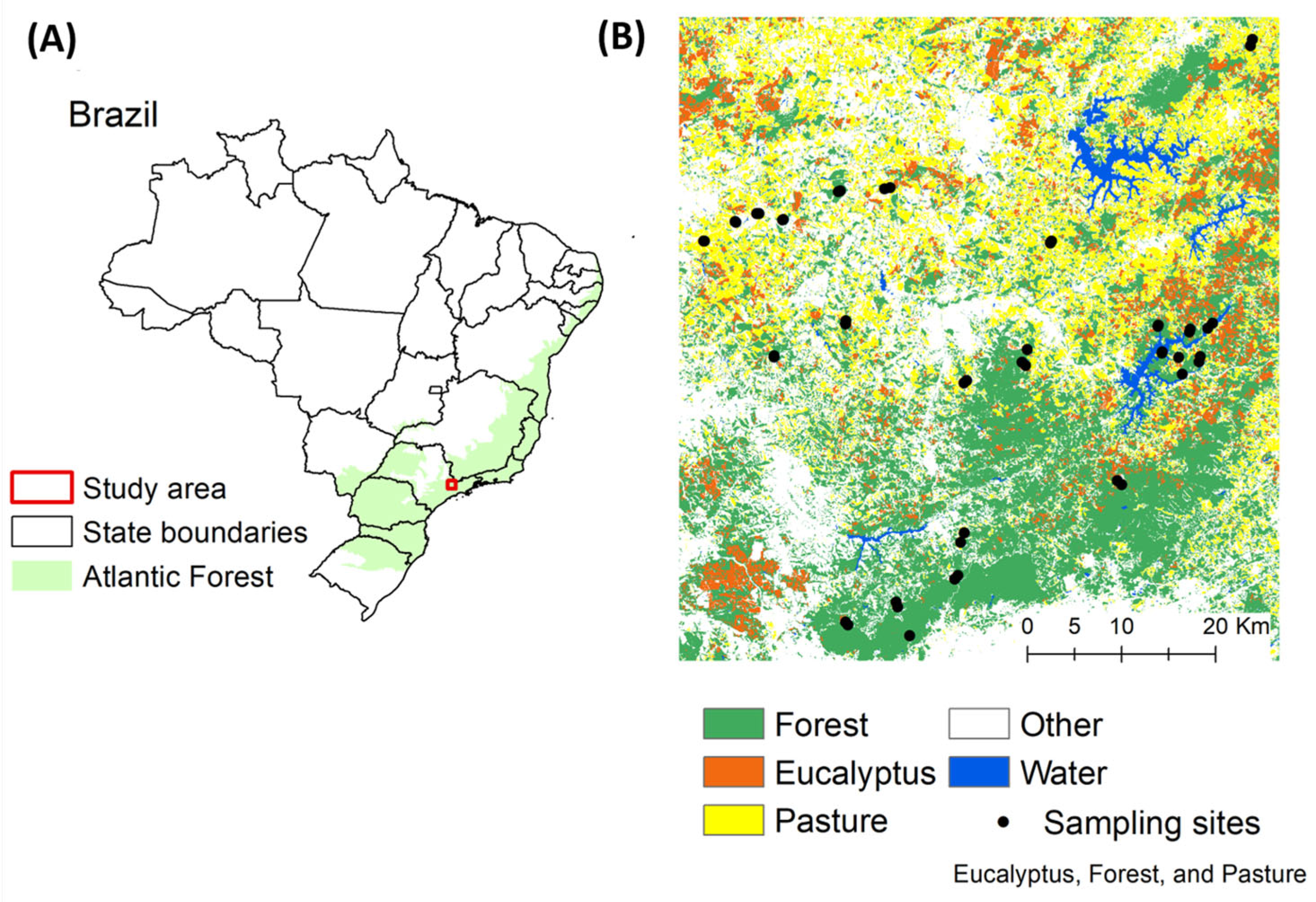 Agronomy 15 01741 g001