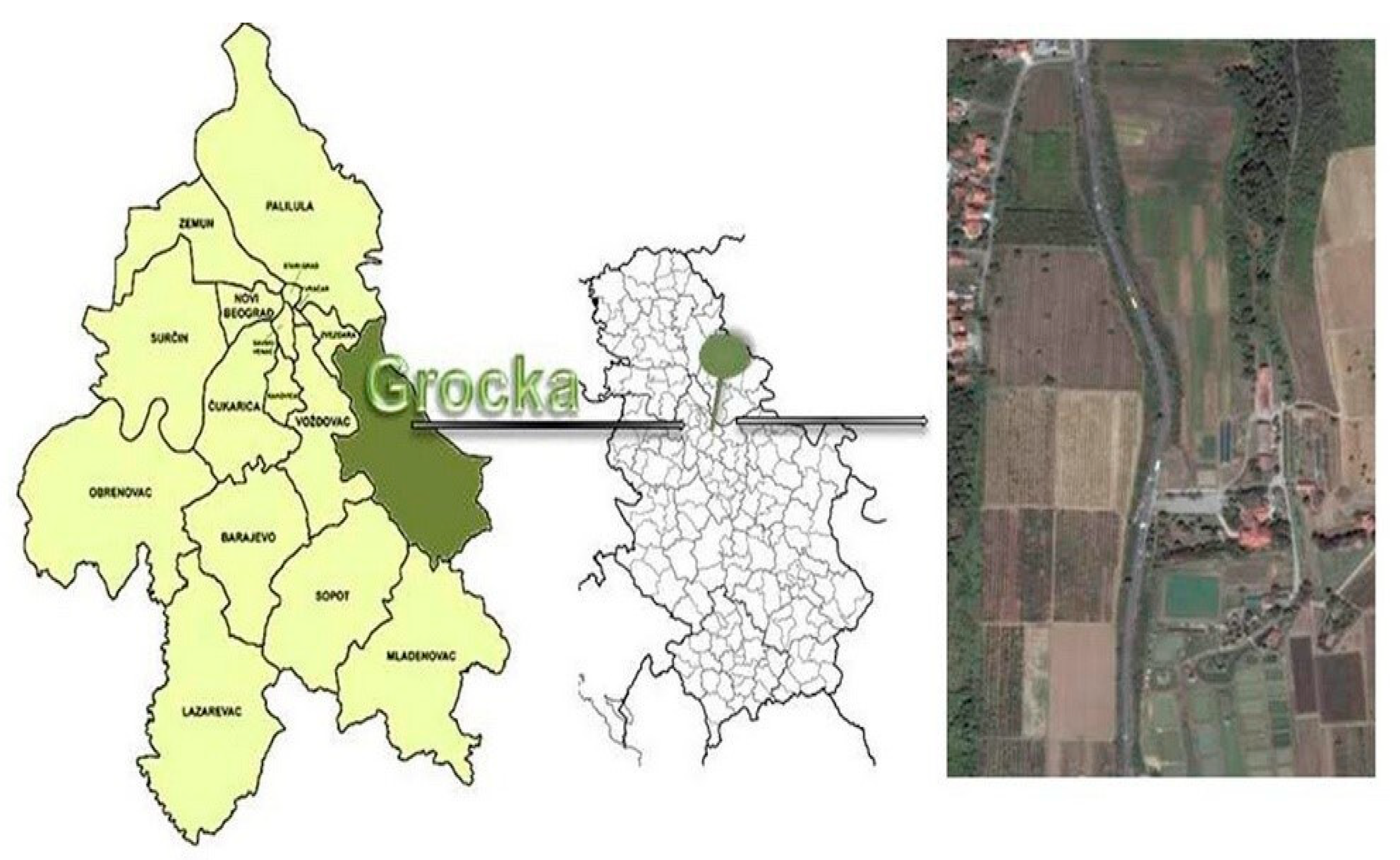 Agronomy 15 01742 g001