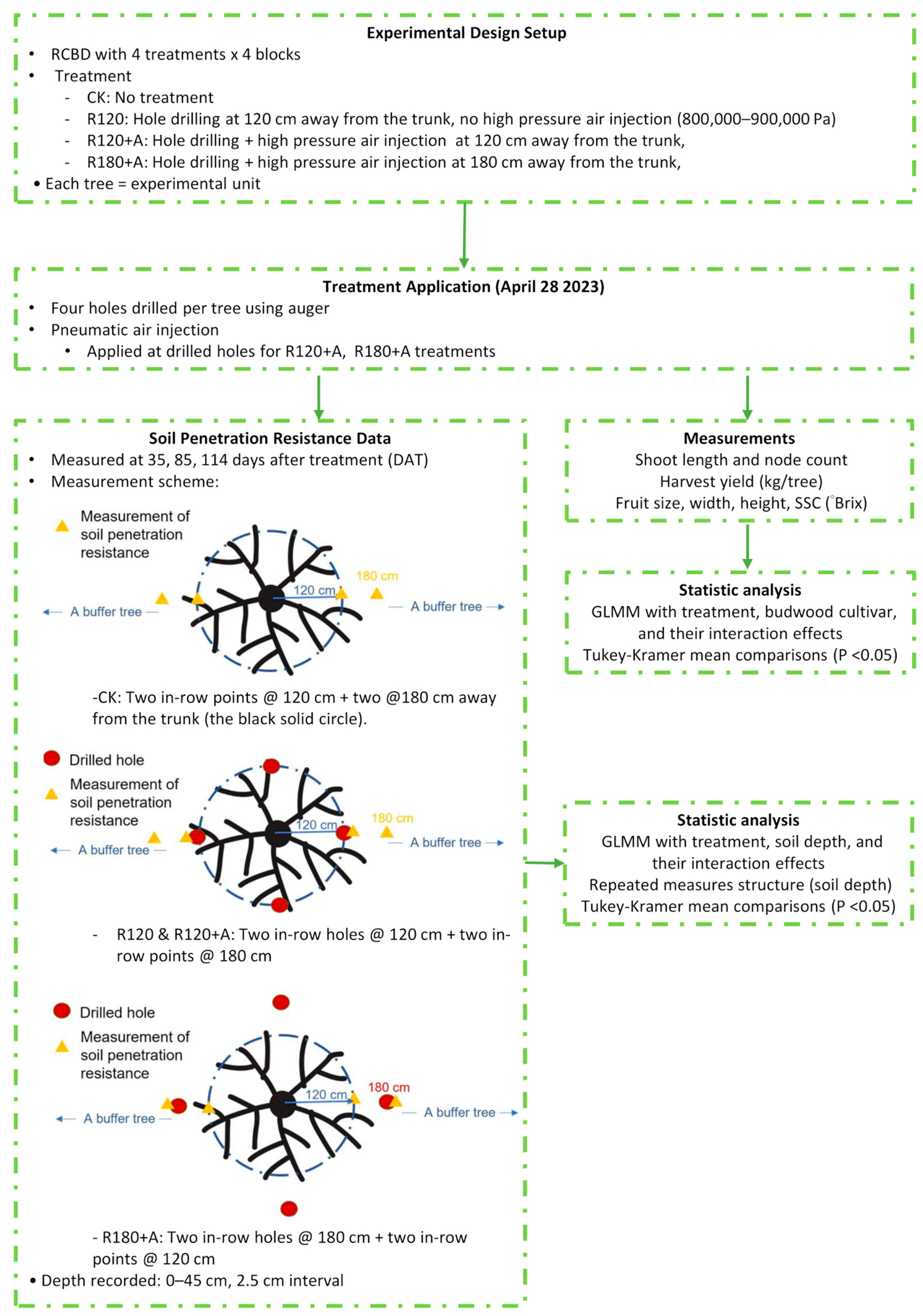 Agronomy 15 01743 g0a2