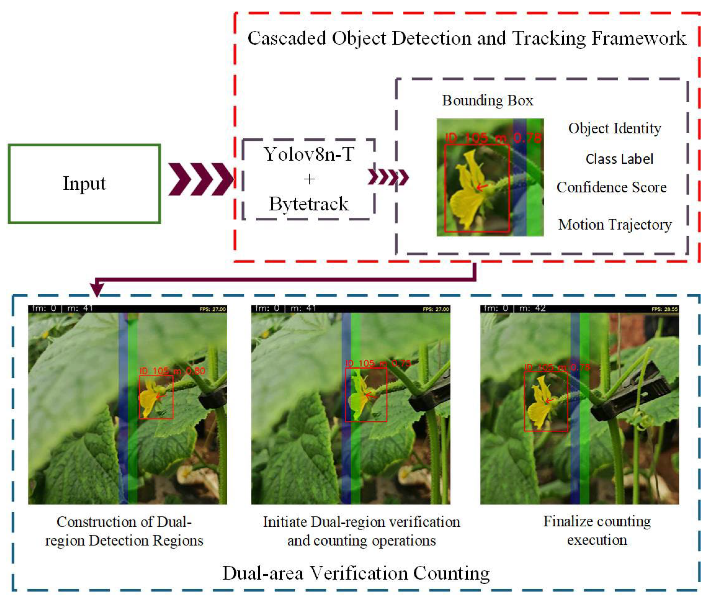 Agronomy 15 01744 g006