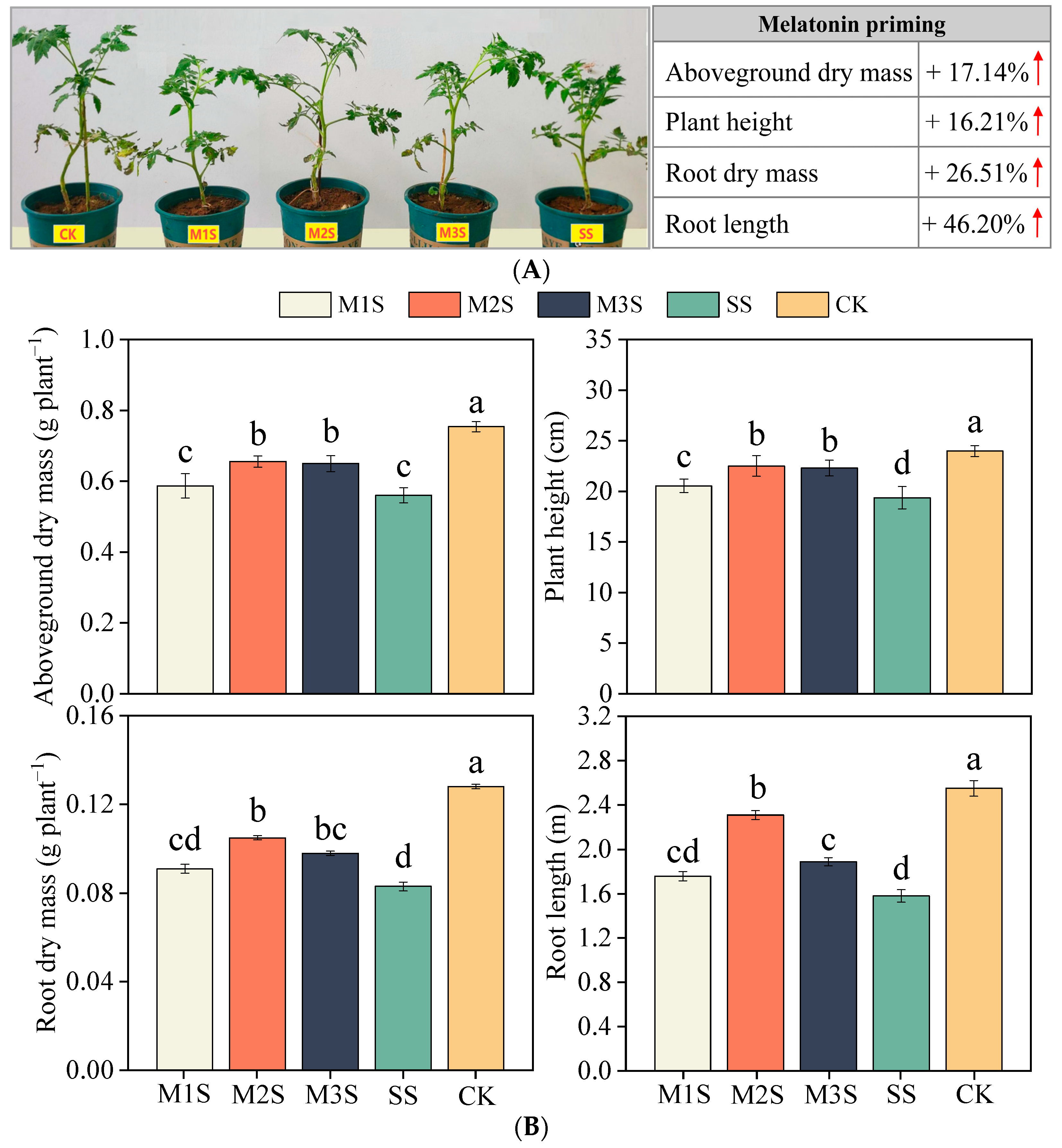 Agronomy 15 01746 g001