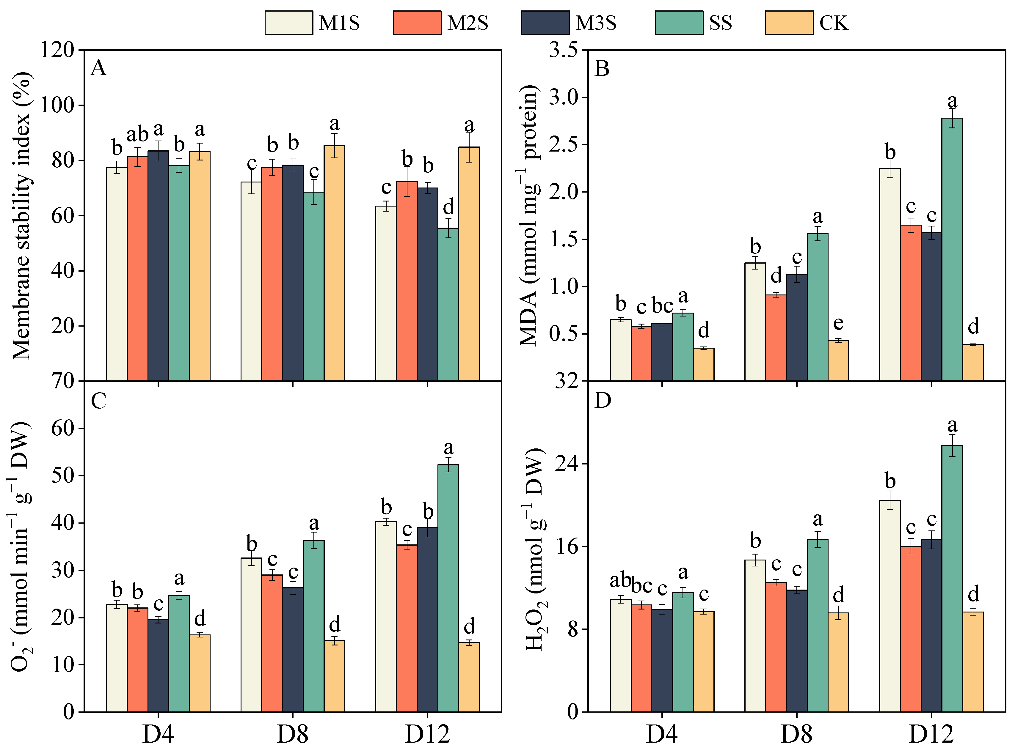 Agronomy 15 01746 g004