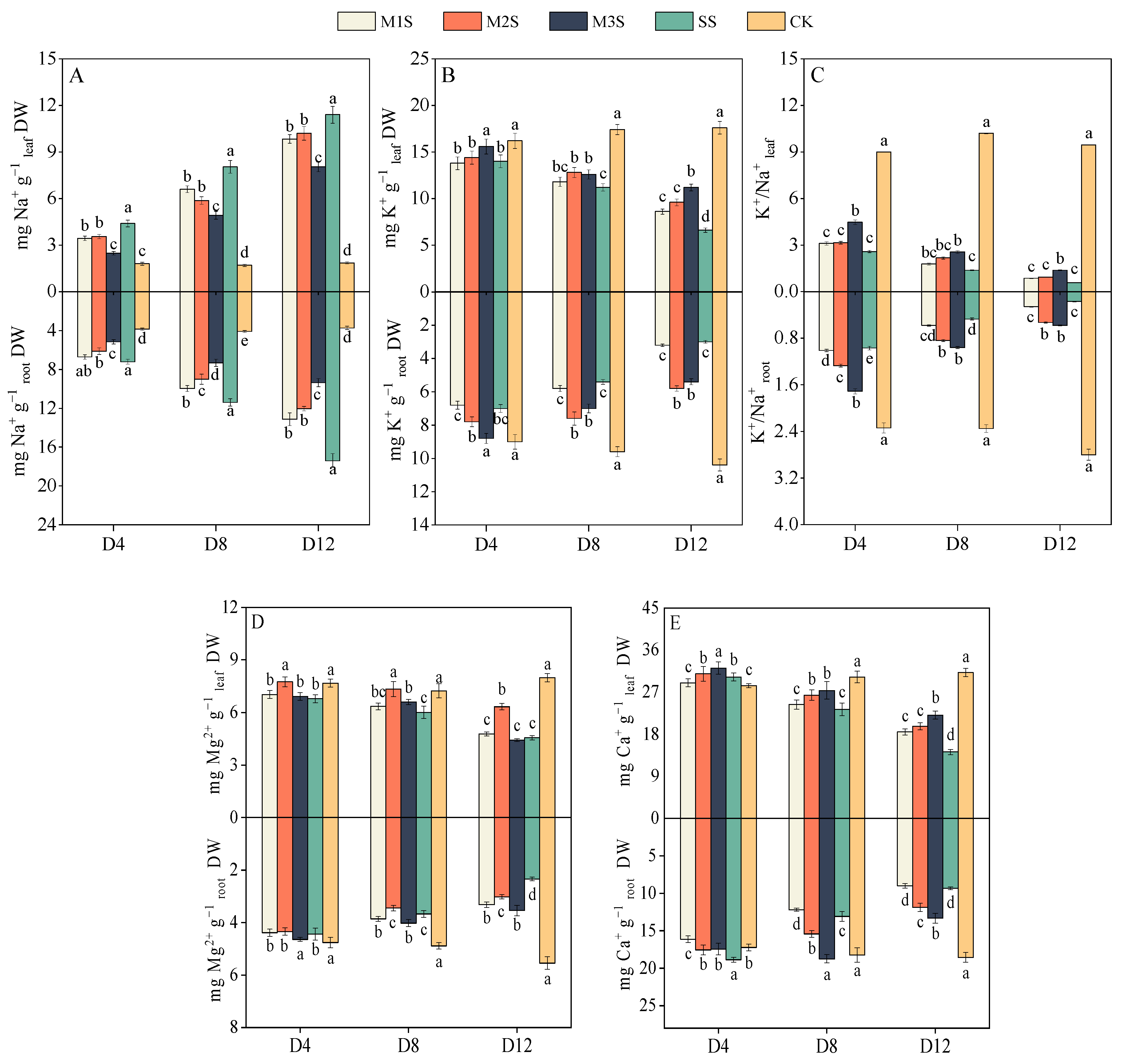 Agronomy 15 01746 g006