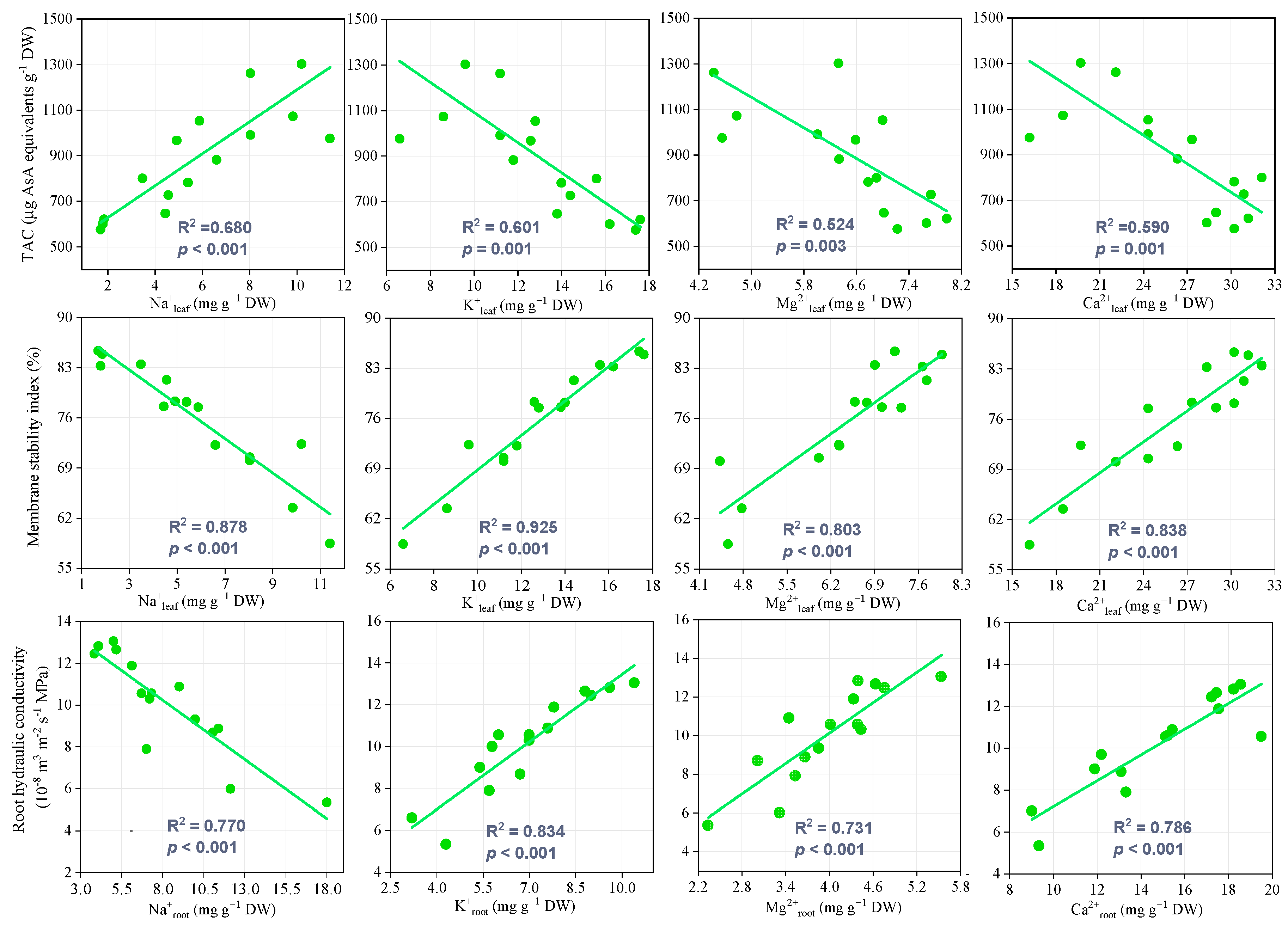 Agronomy 15 01746 g007