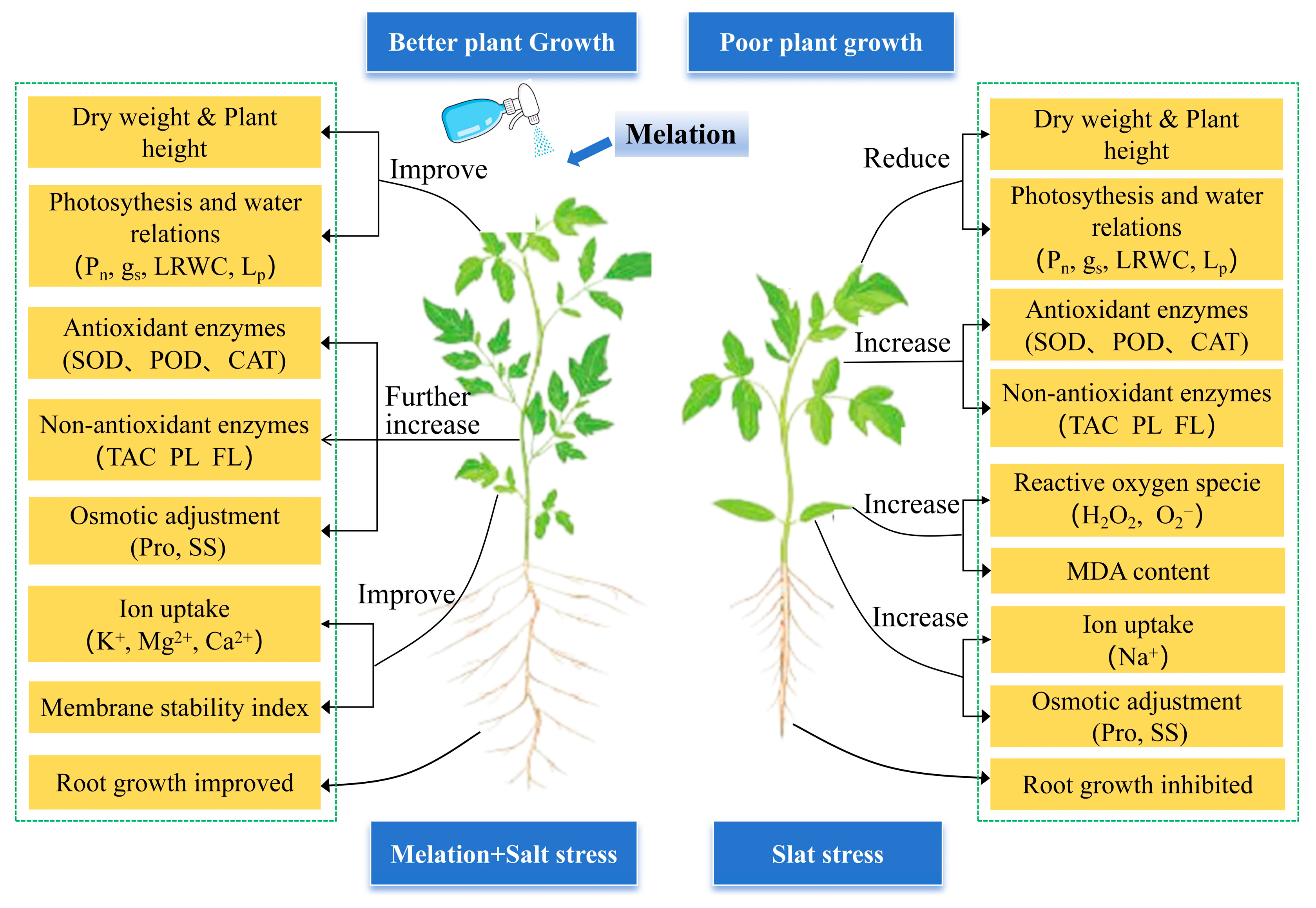 Agronomy 15 01746 g009
