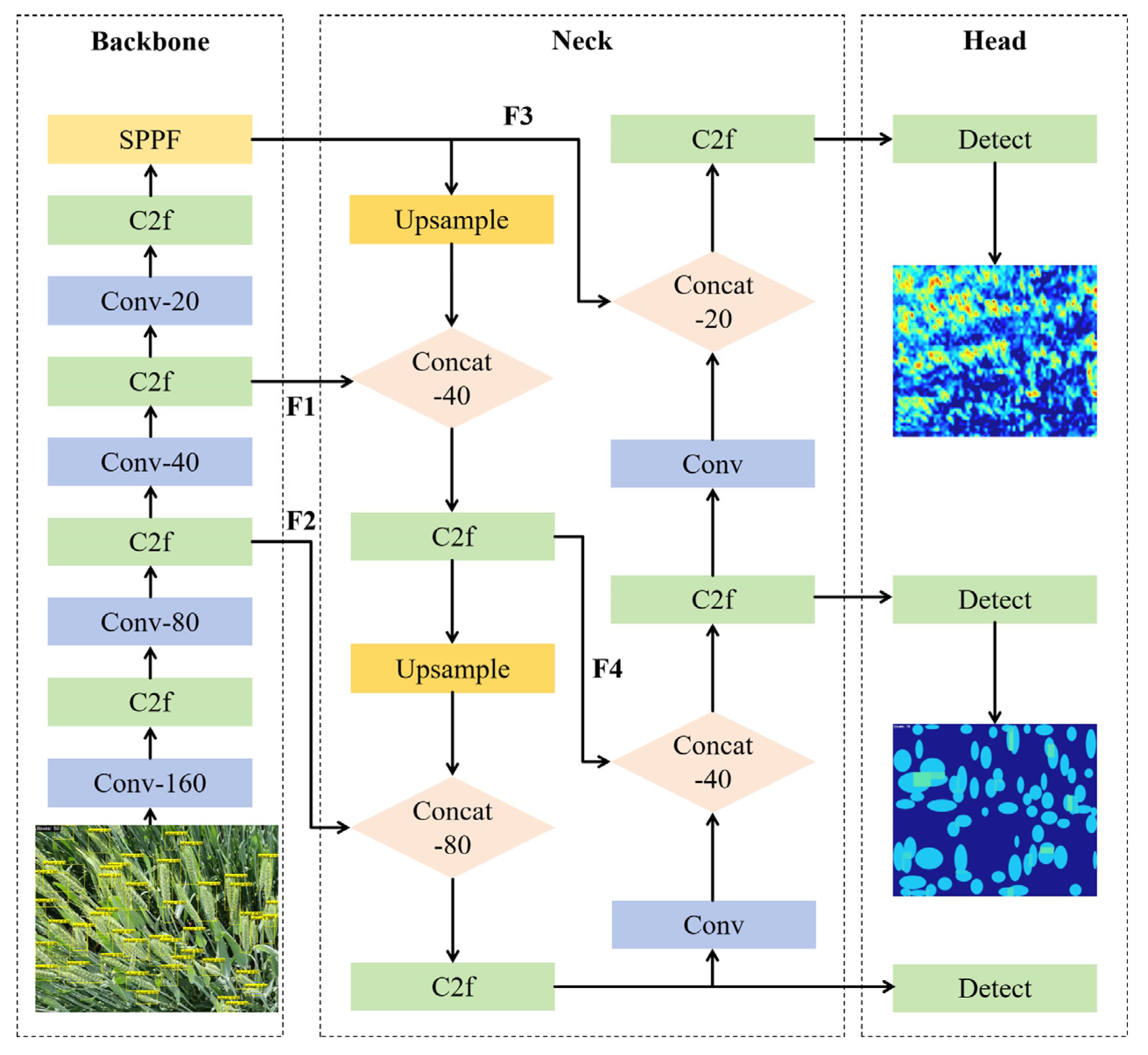 Agronomy 15 01755 g005
