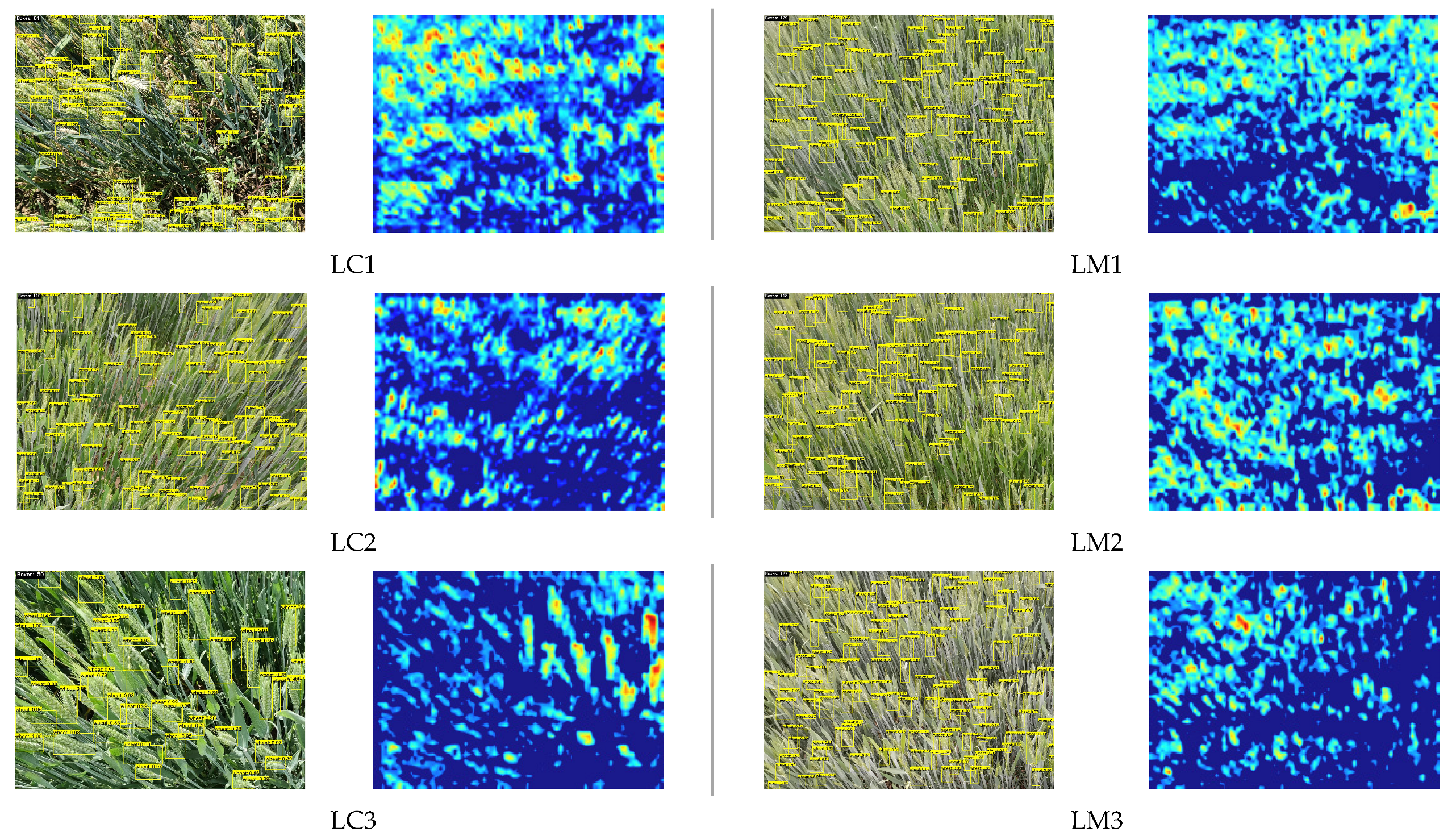 Agronomy 15 01755 g008a