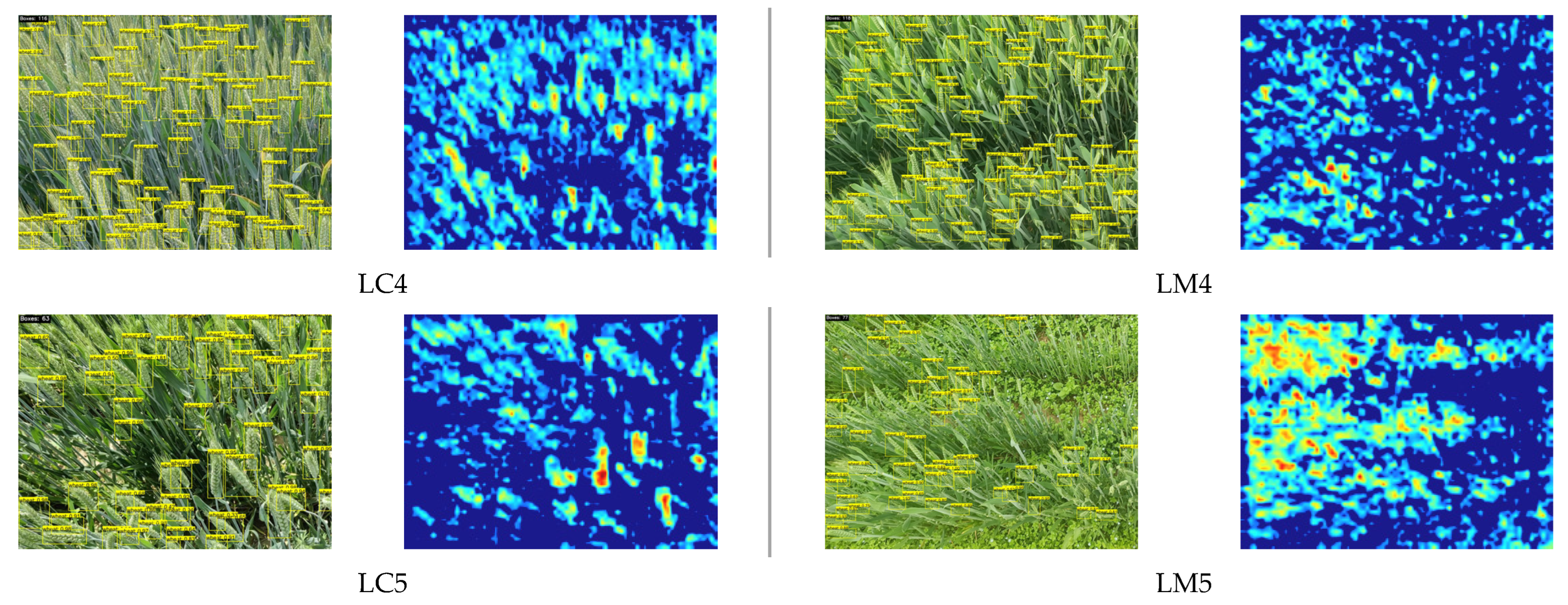 Agronomy 15 01755 g008b