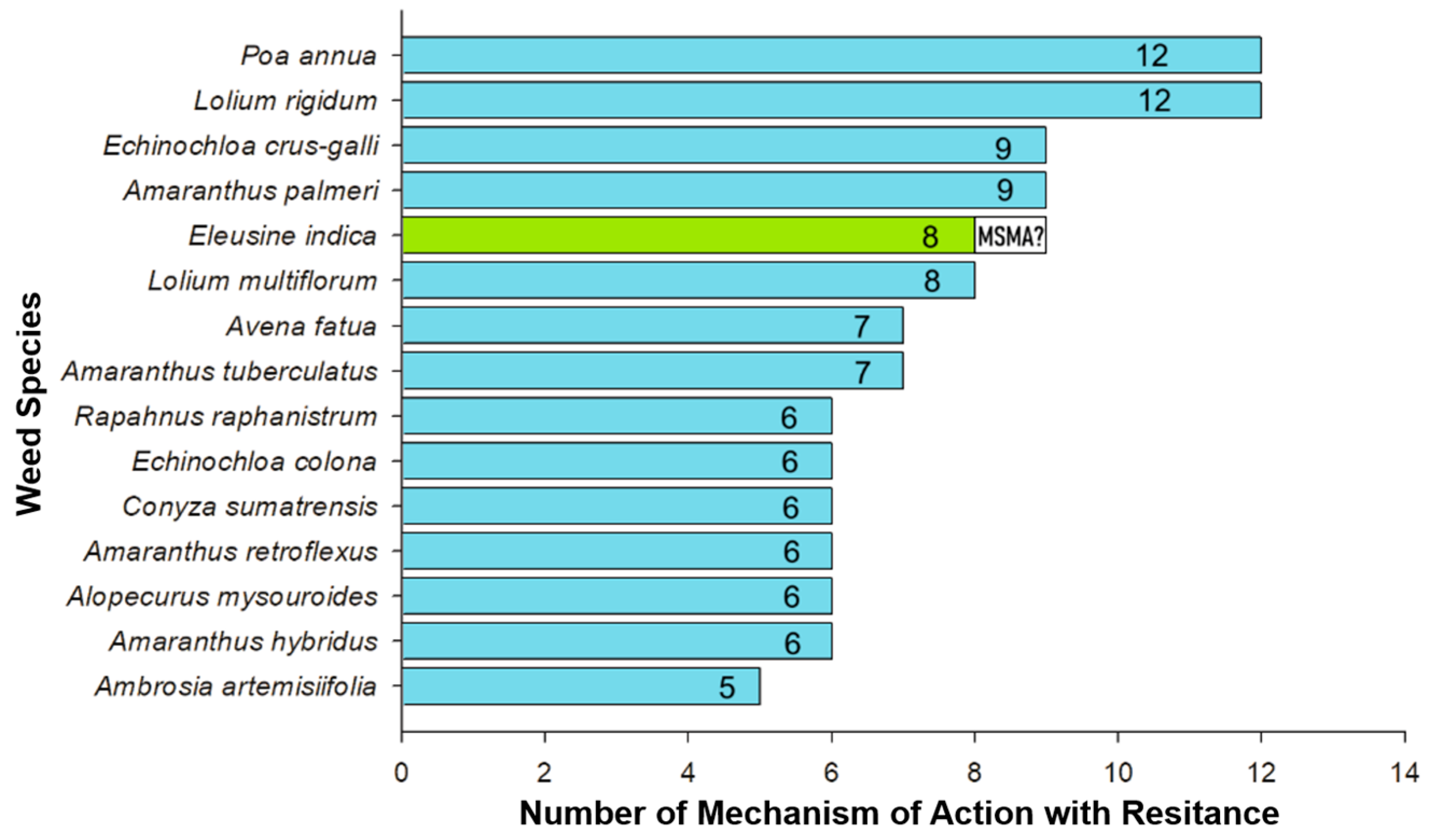 Agronomy 15 01759 g001