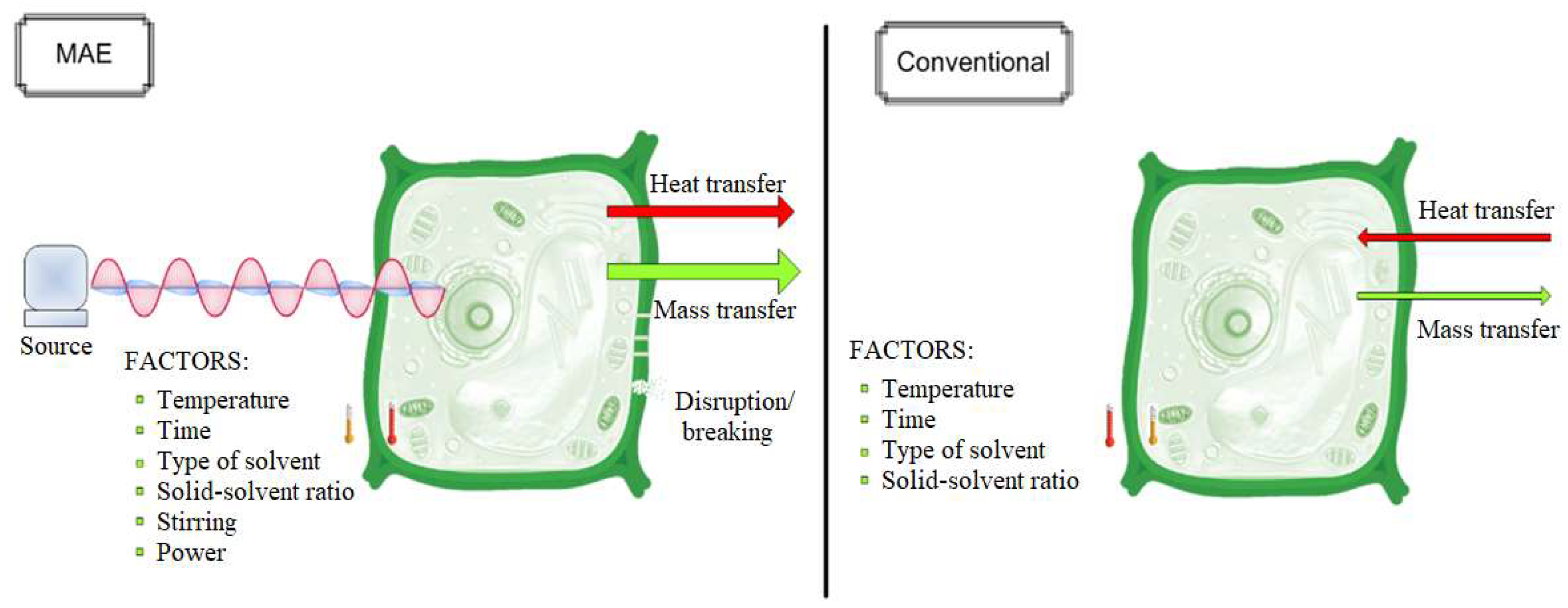 Agronomy 15 01761 g001