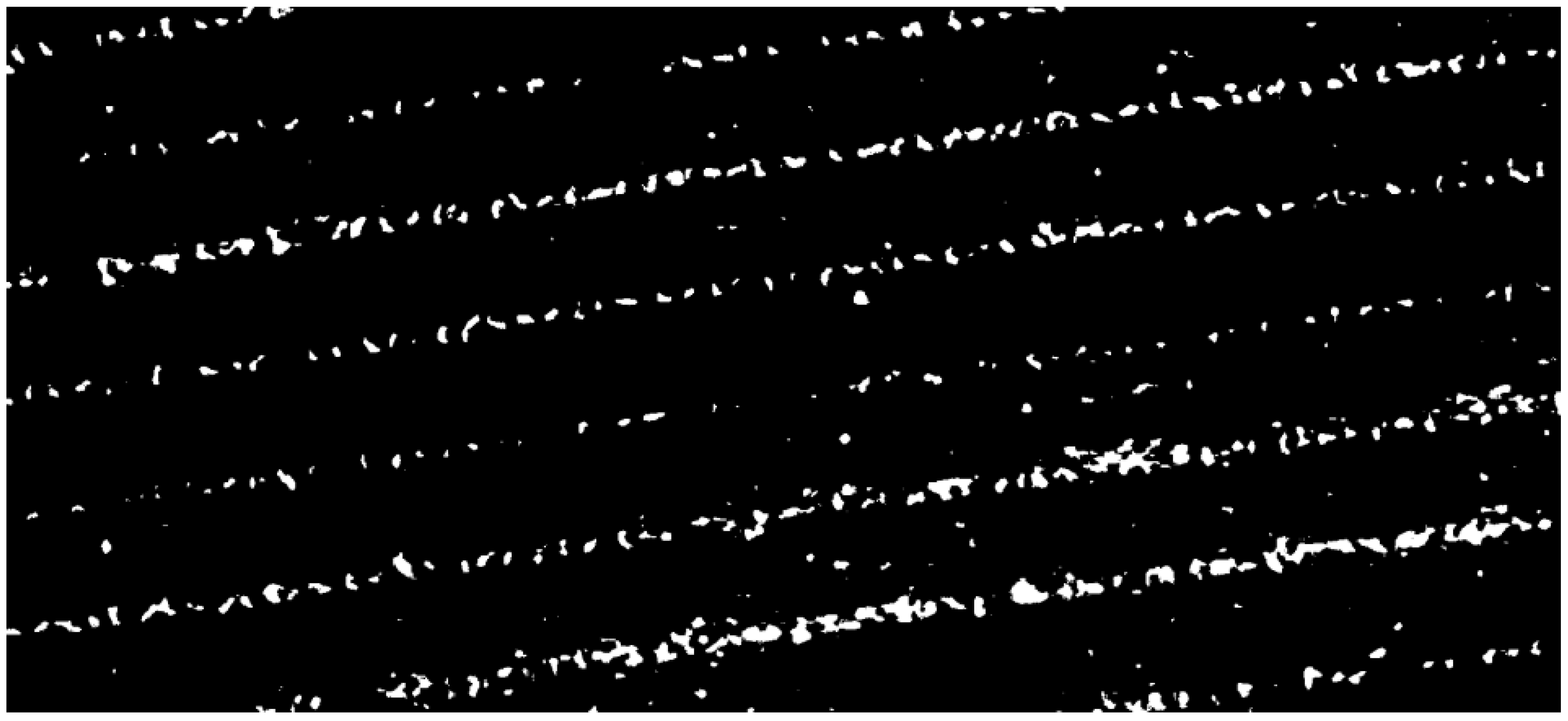 Agronomy 15 01762 g003