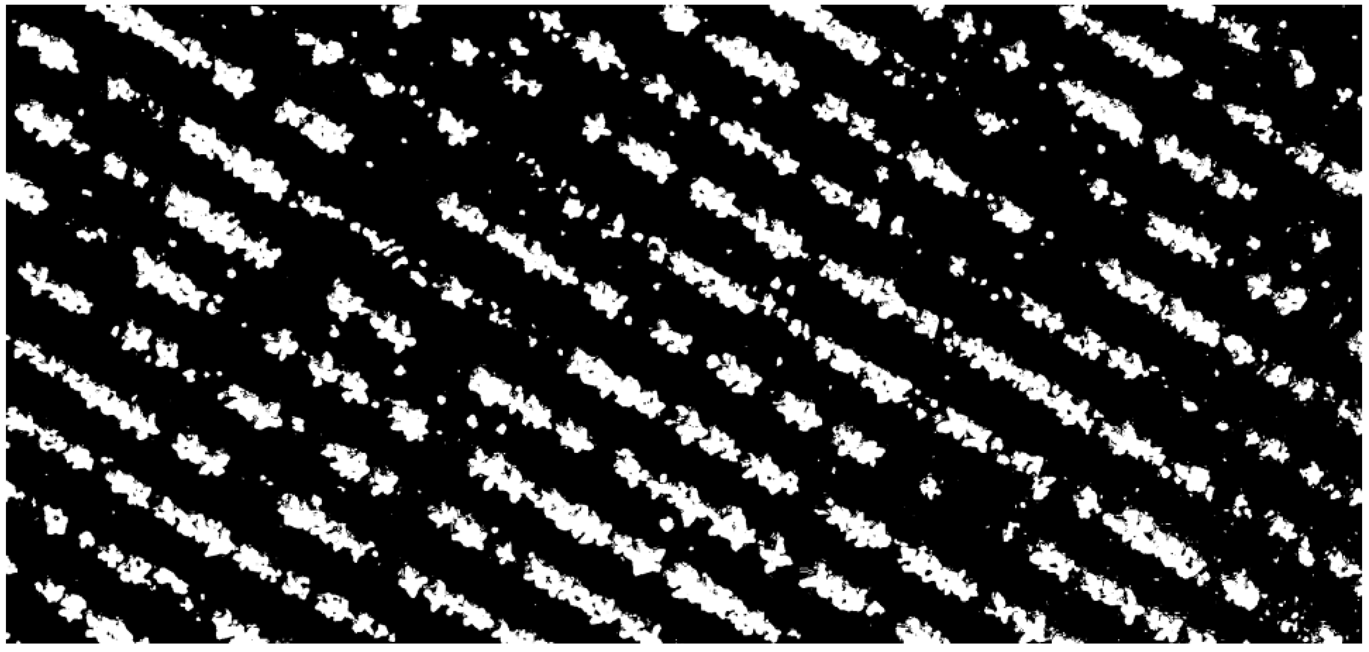 Agronomy 15 01762 g007