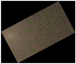 Agronomy 15 01762 i017