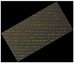 Agronomy 15 01762 i023