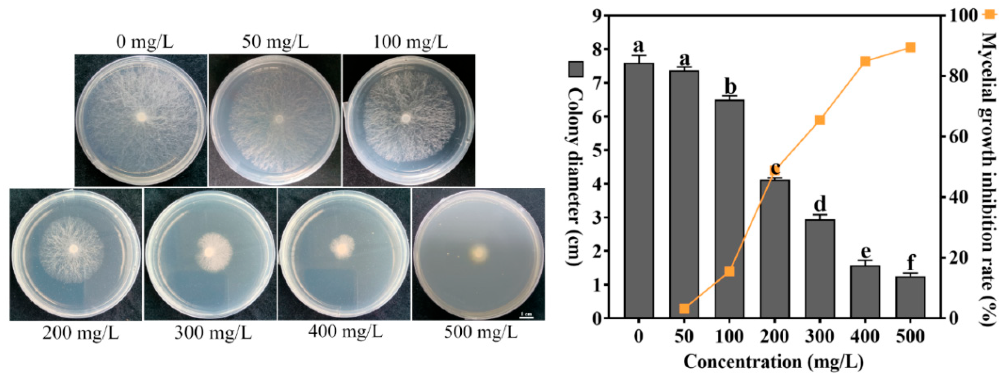 Agronomy 15 01764 g001