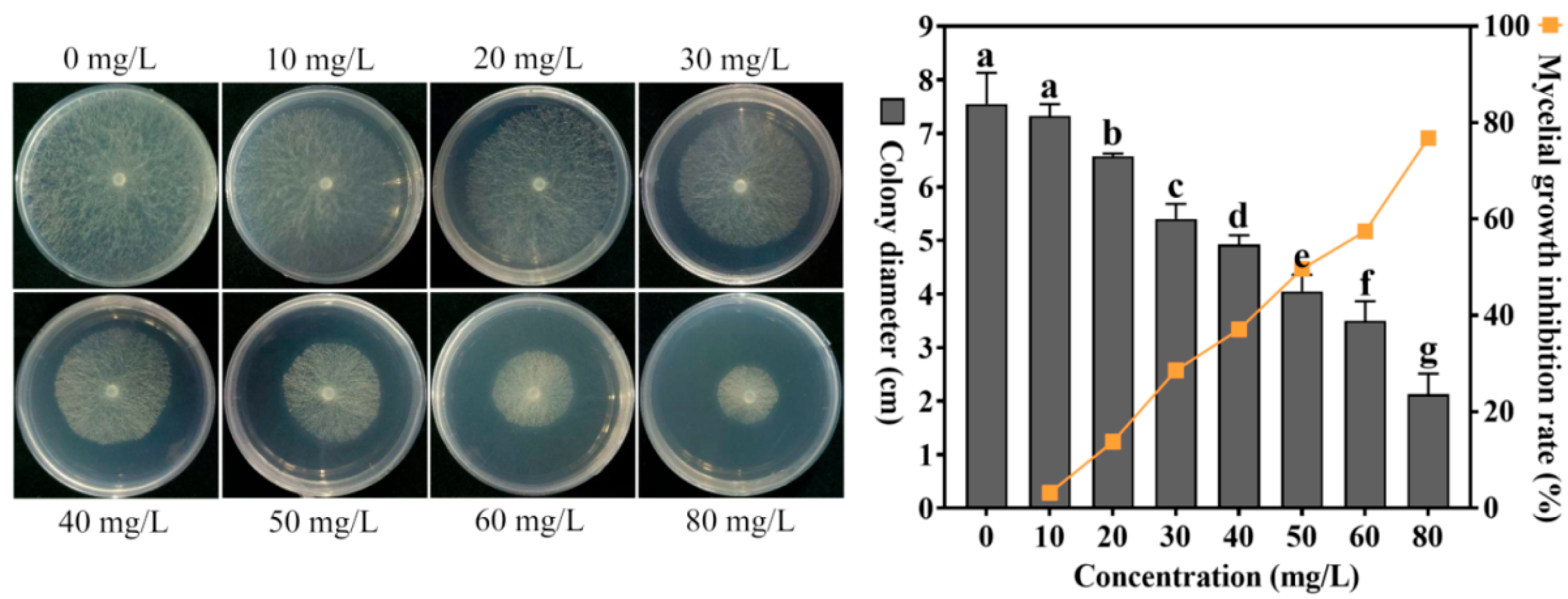 Agronomy 15 01764 g002
