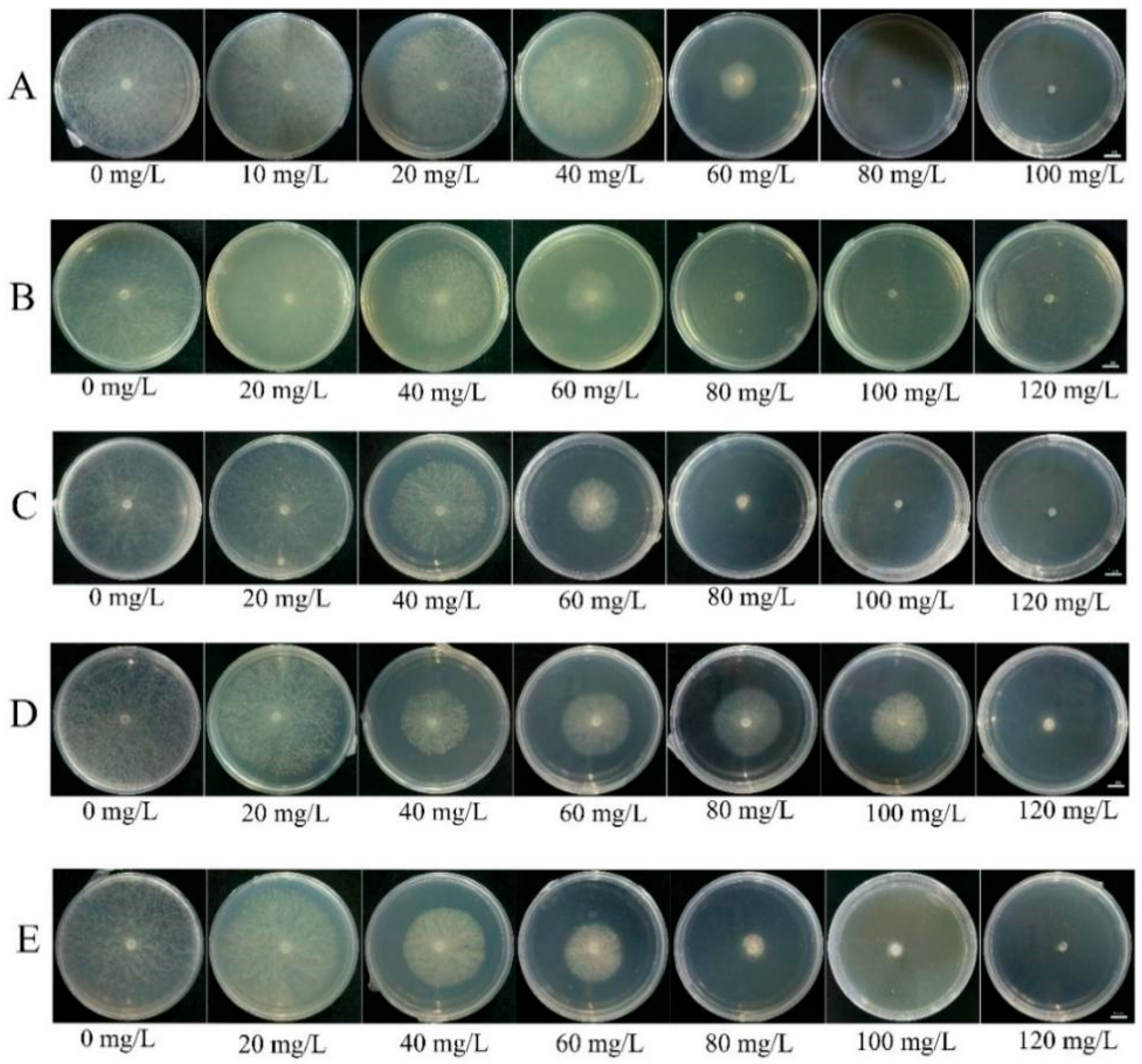 Agronomy 15 01764 g003