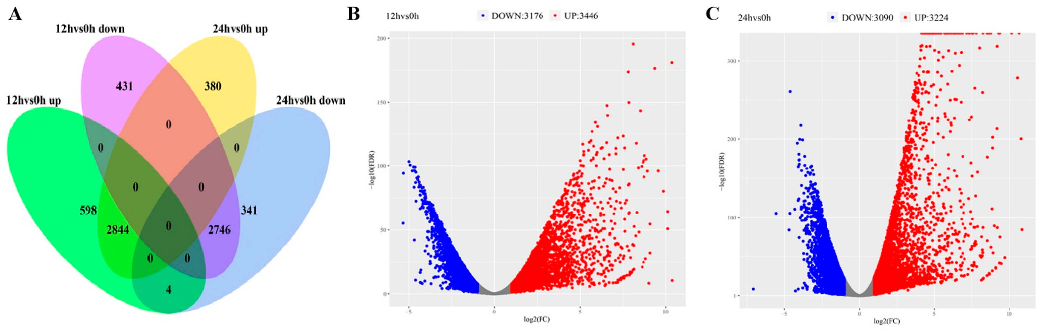 Agronomy 15 01764 g006