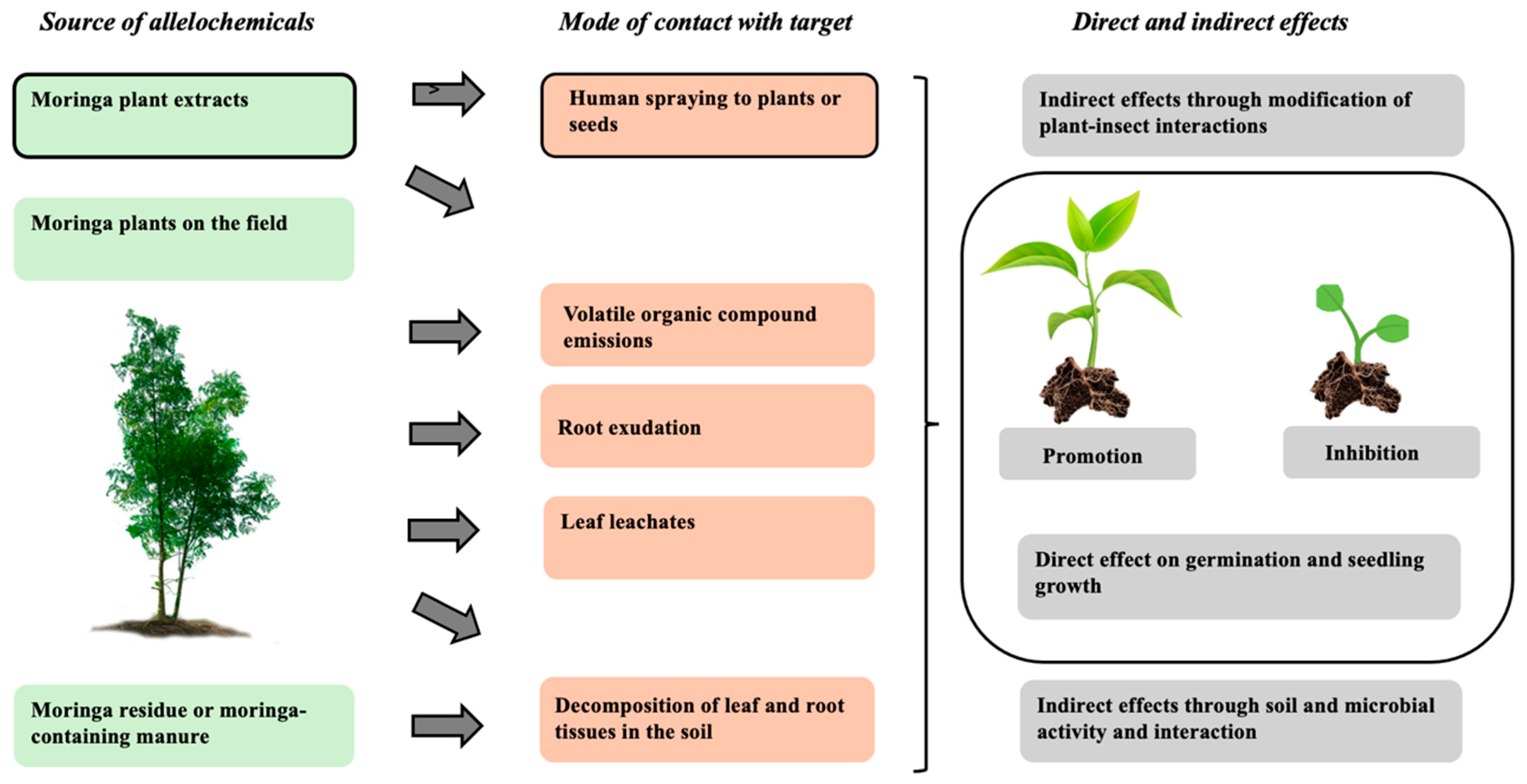 Agronomy 15 01766 g001 Agronomy 15 01766 g001