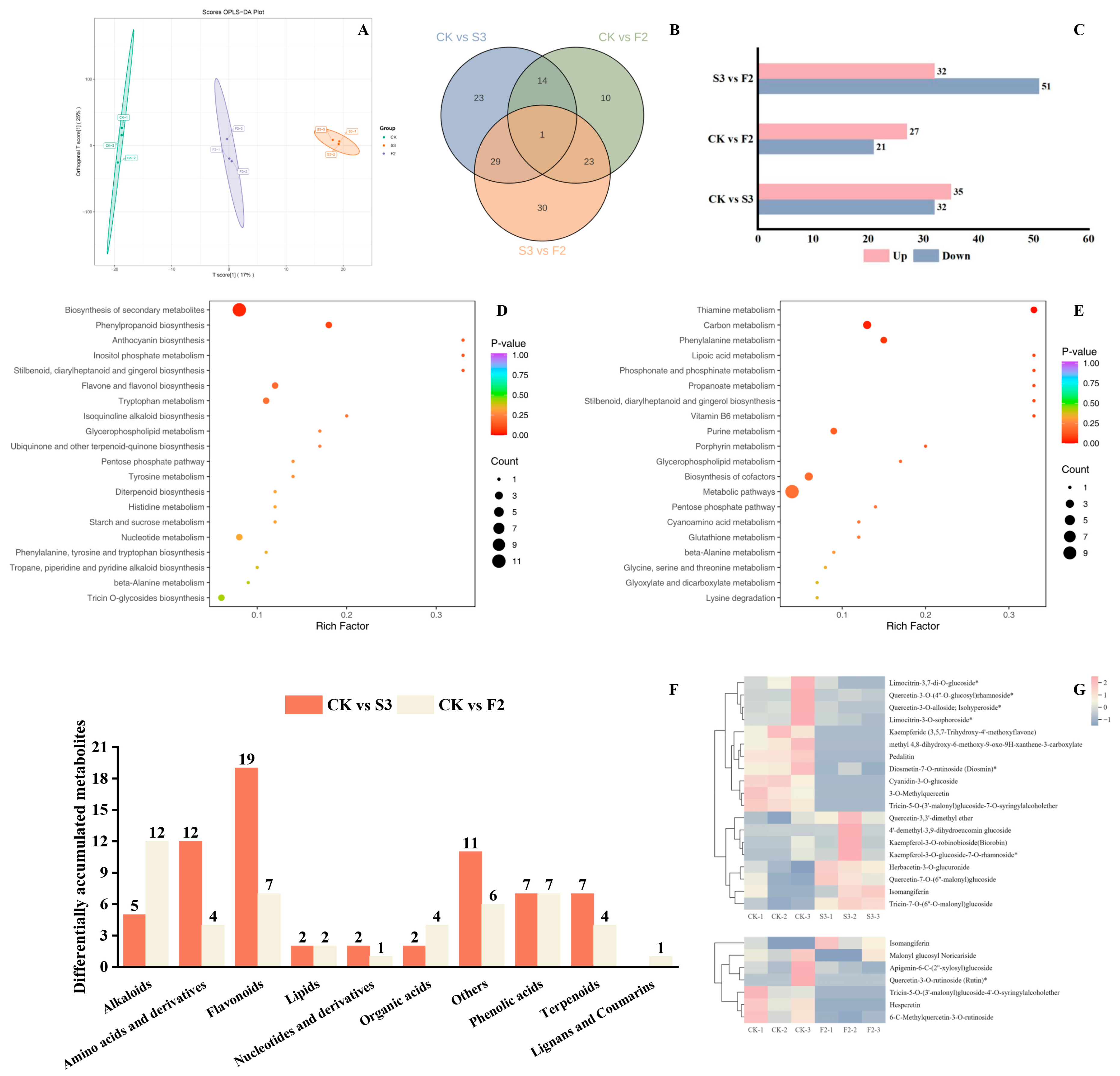 Agronomy 15 01767 g002