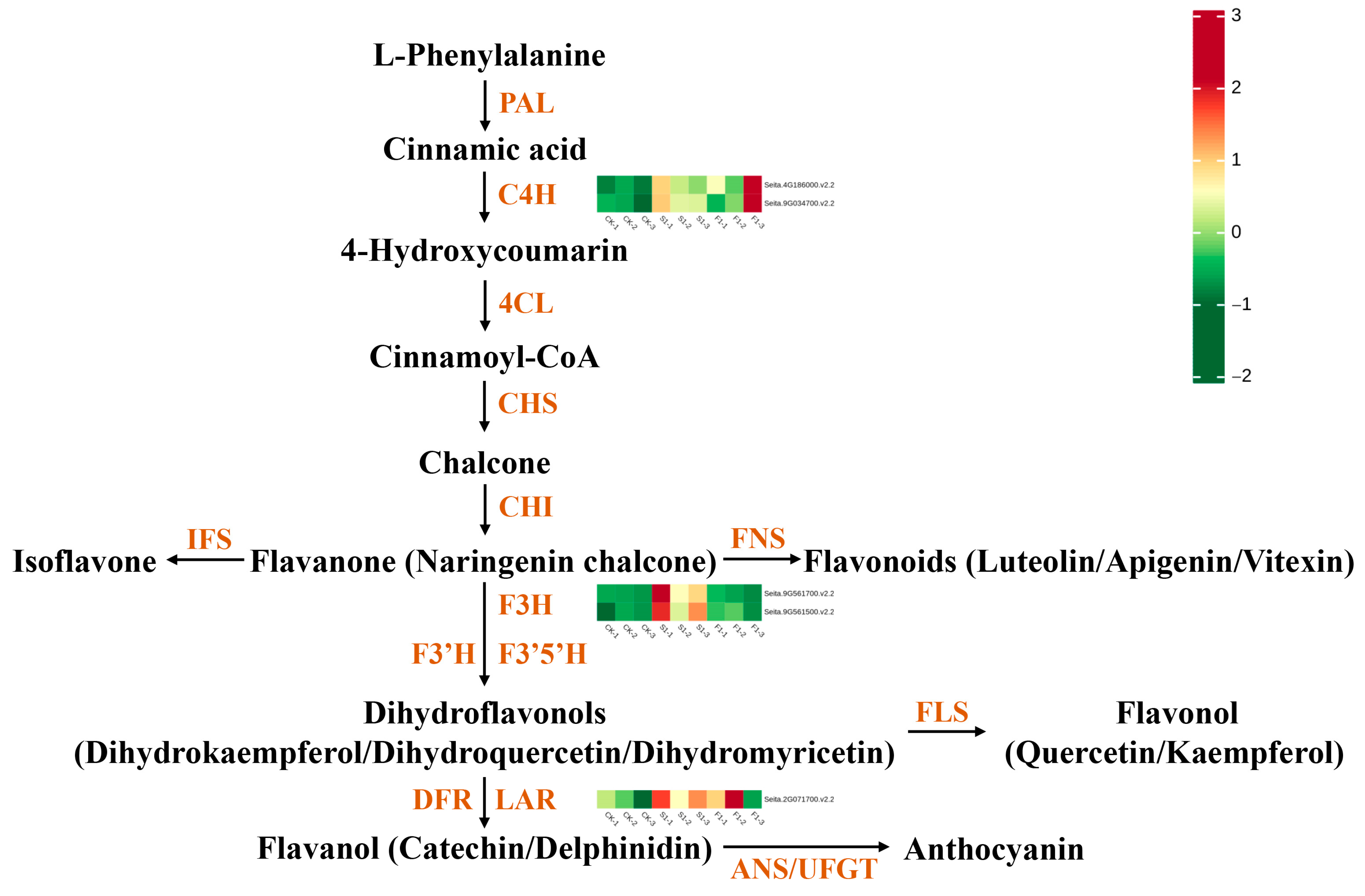 Agronomy 15 01767 g004