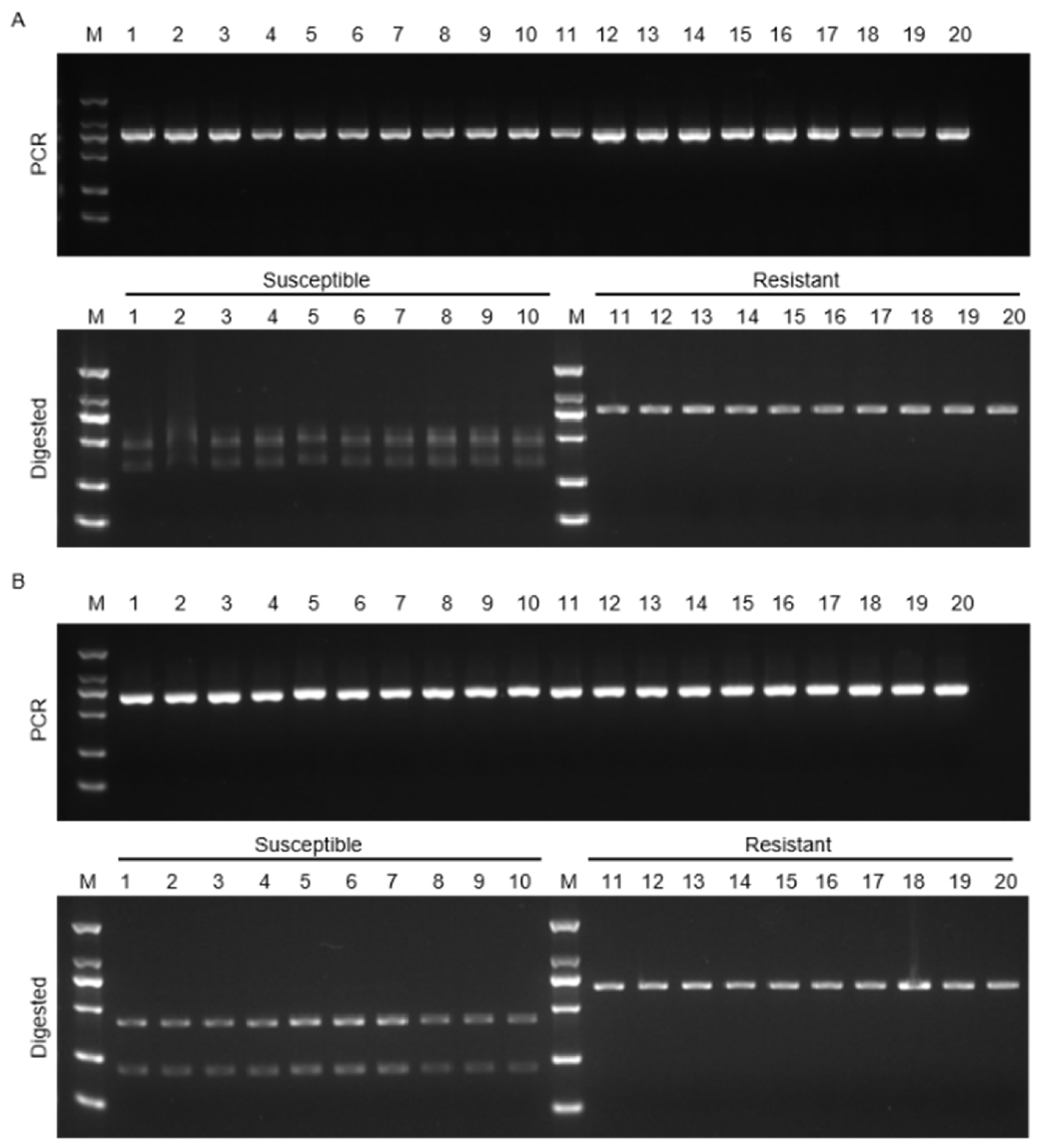 Agronomy 15 01769 g006