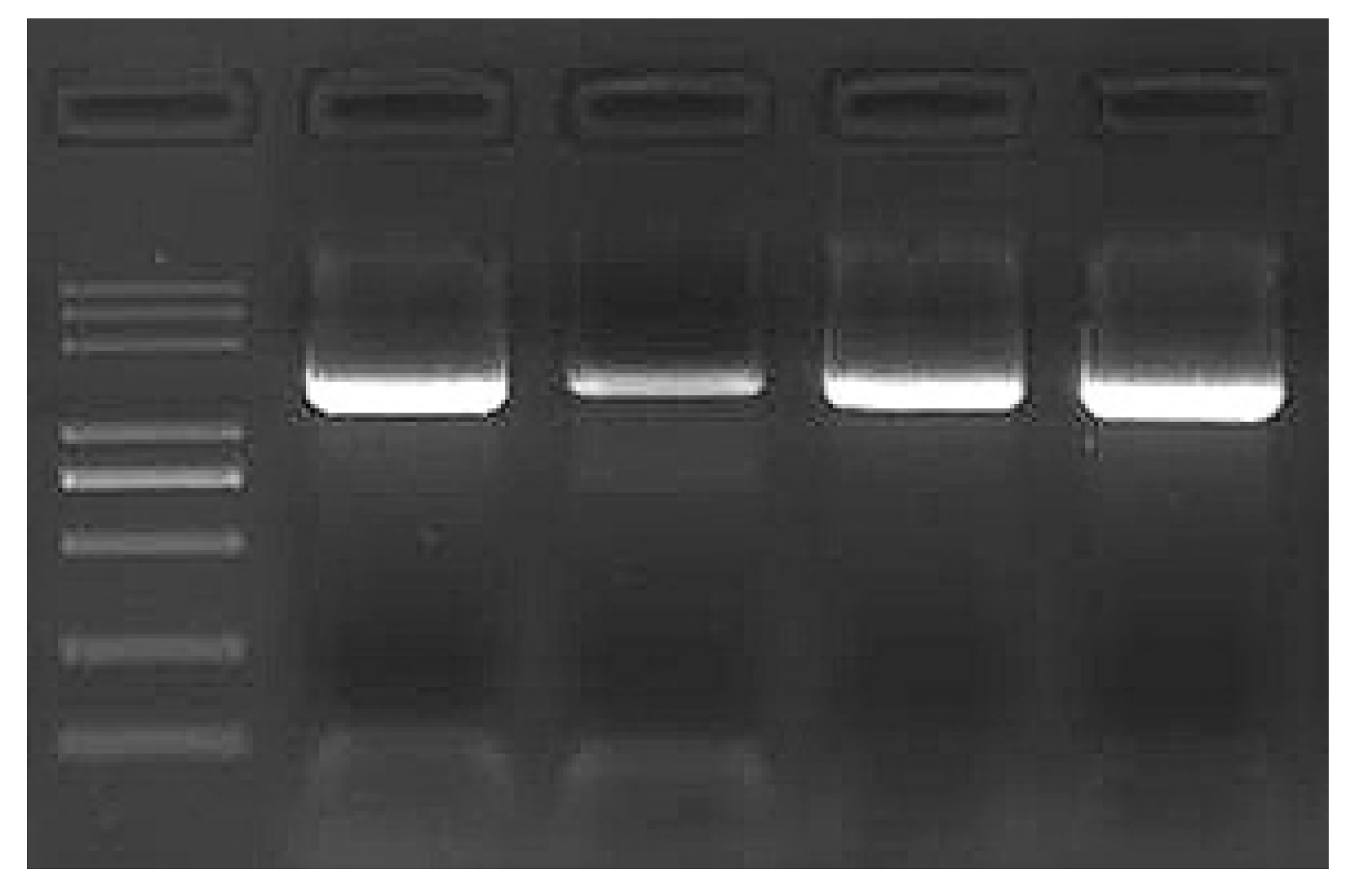 Agronomy 15 01776 g002