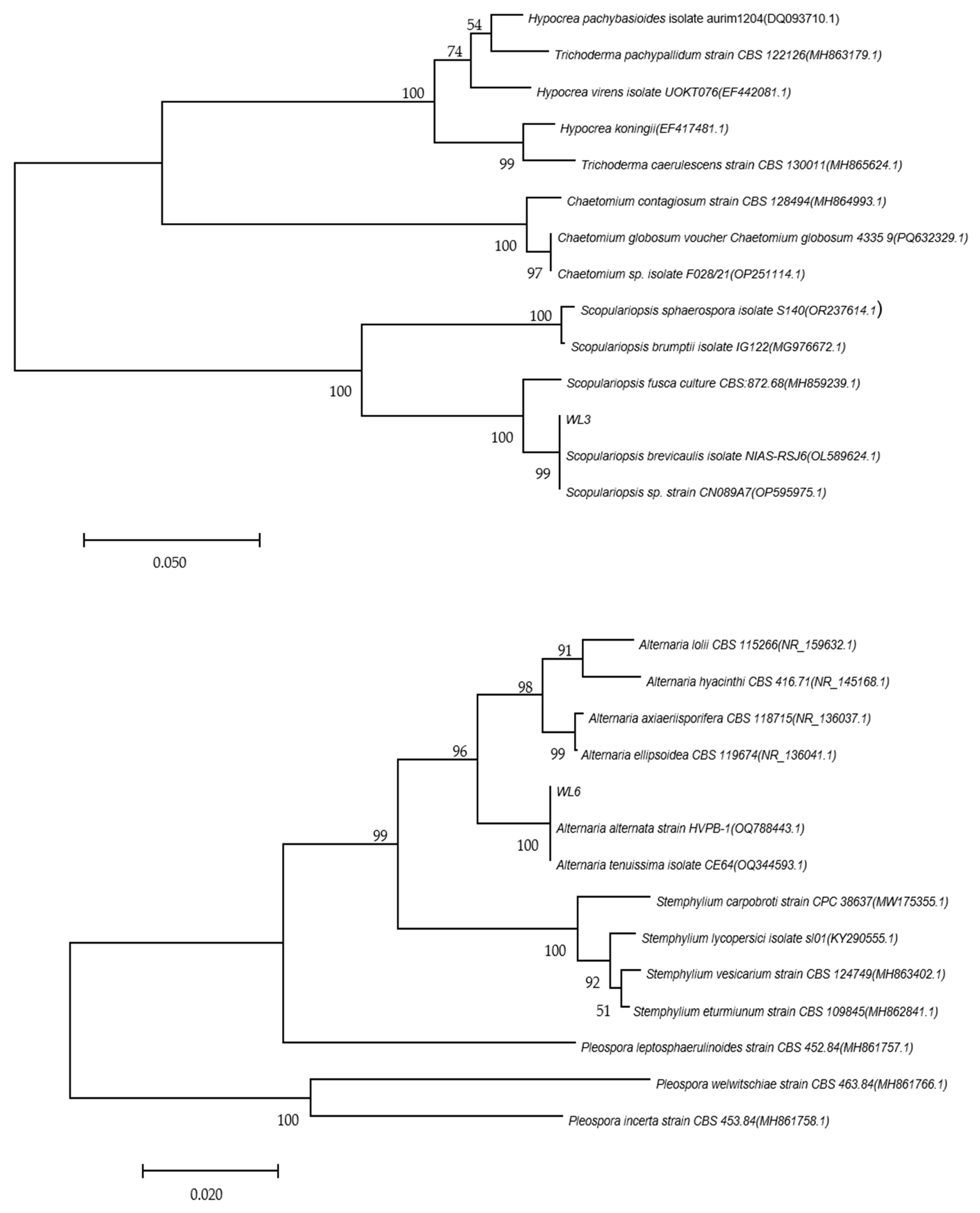 Agronomy 15 01776 g008