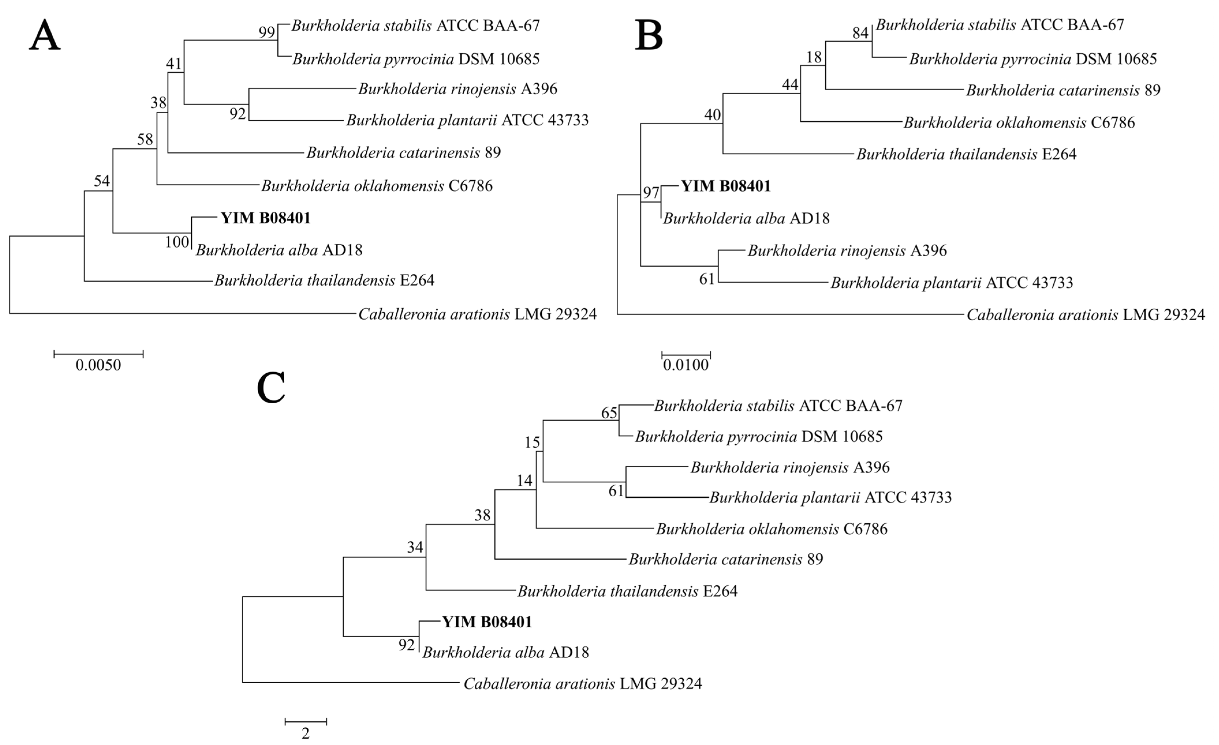 Agronomy 15 01780 g001