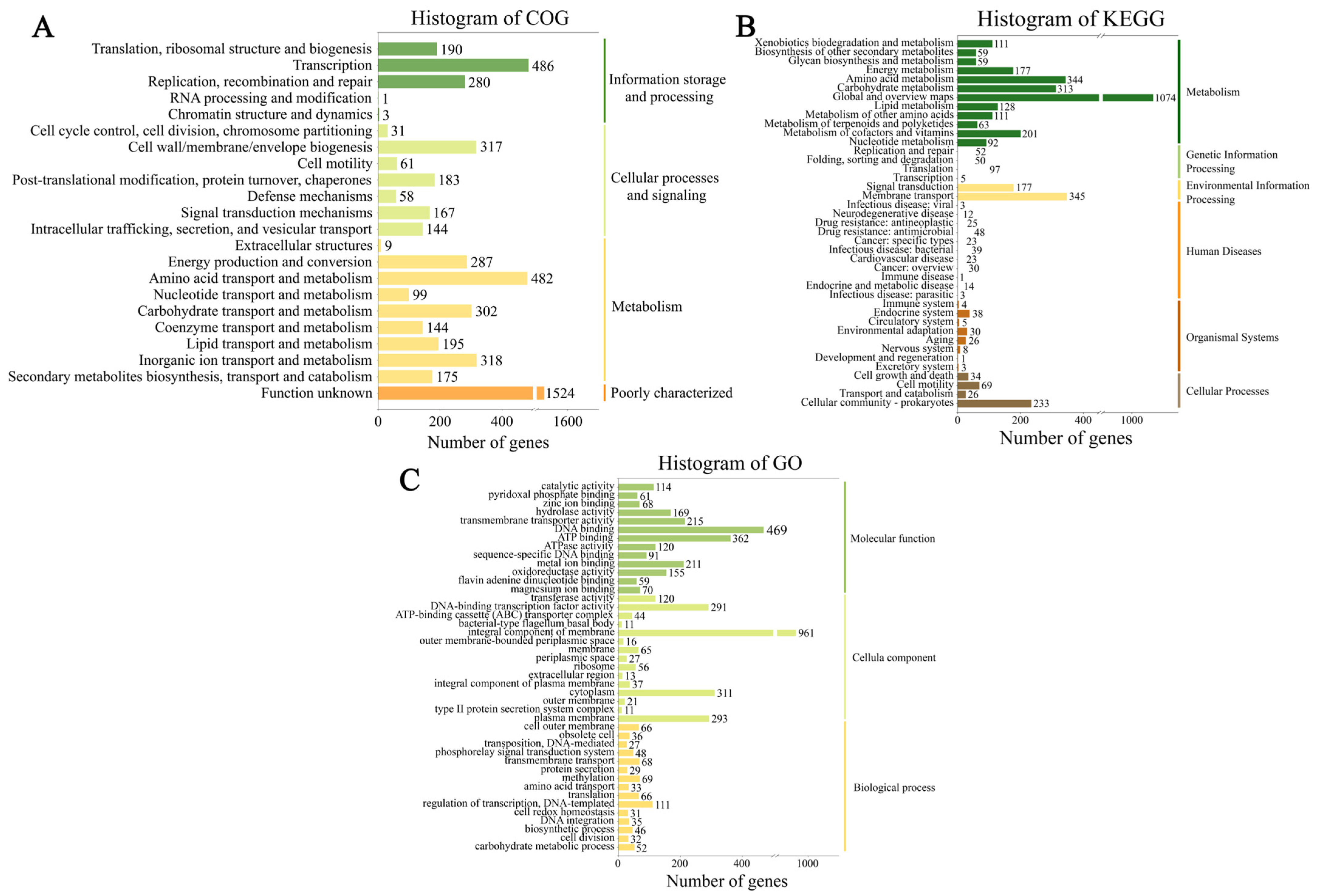 Agronomy 15 01780 g003