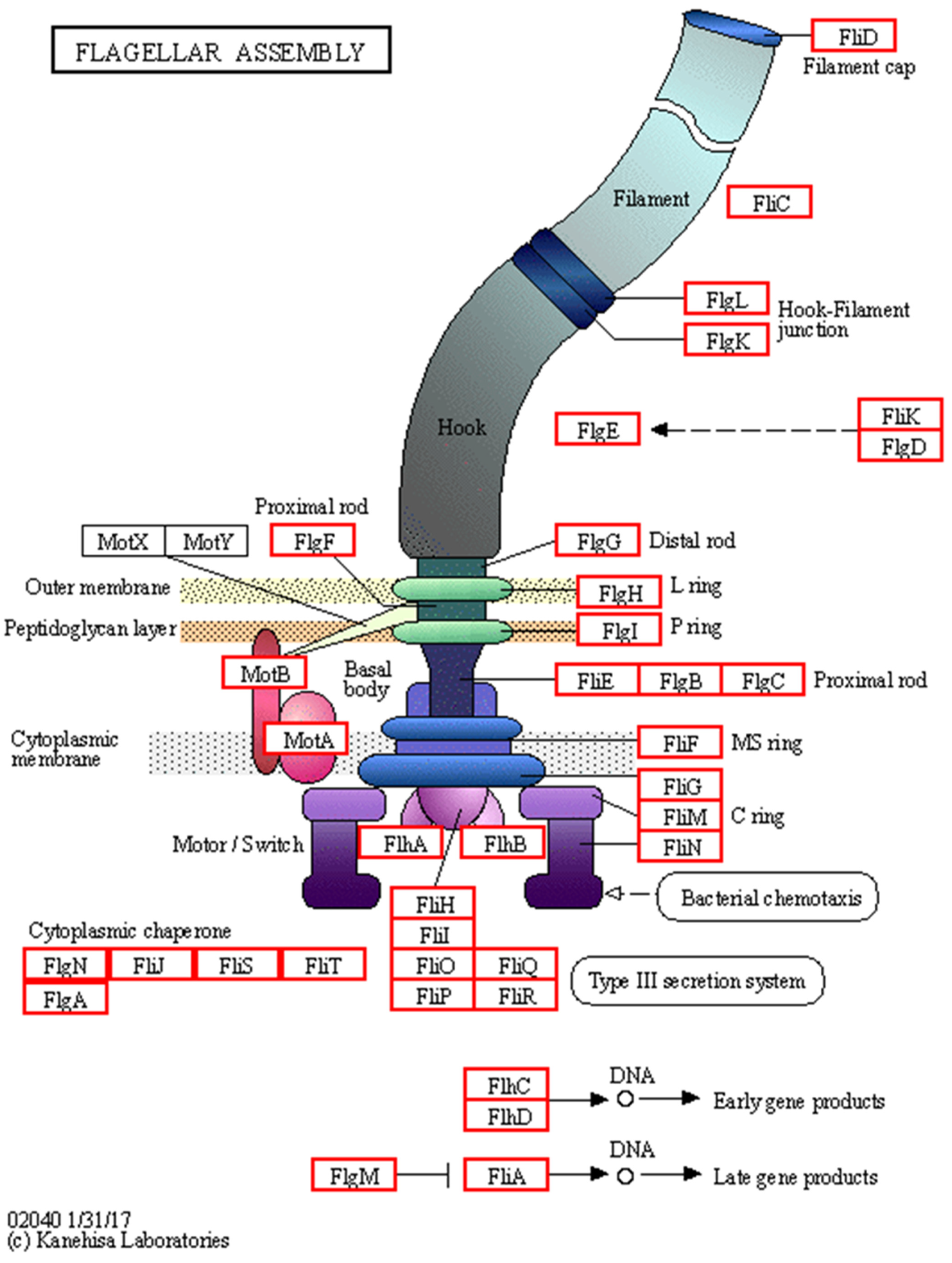Agronomy 15 01780 g006