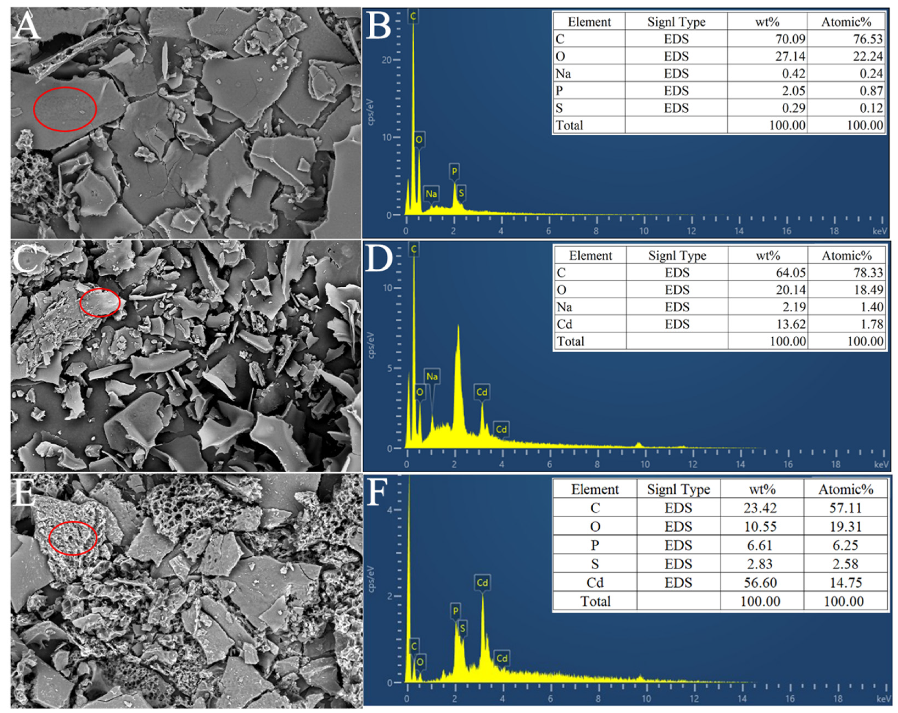 Agronomy 15 01780 g007