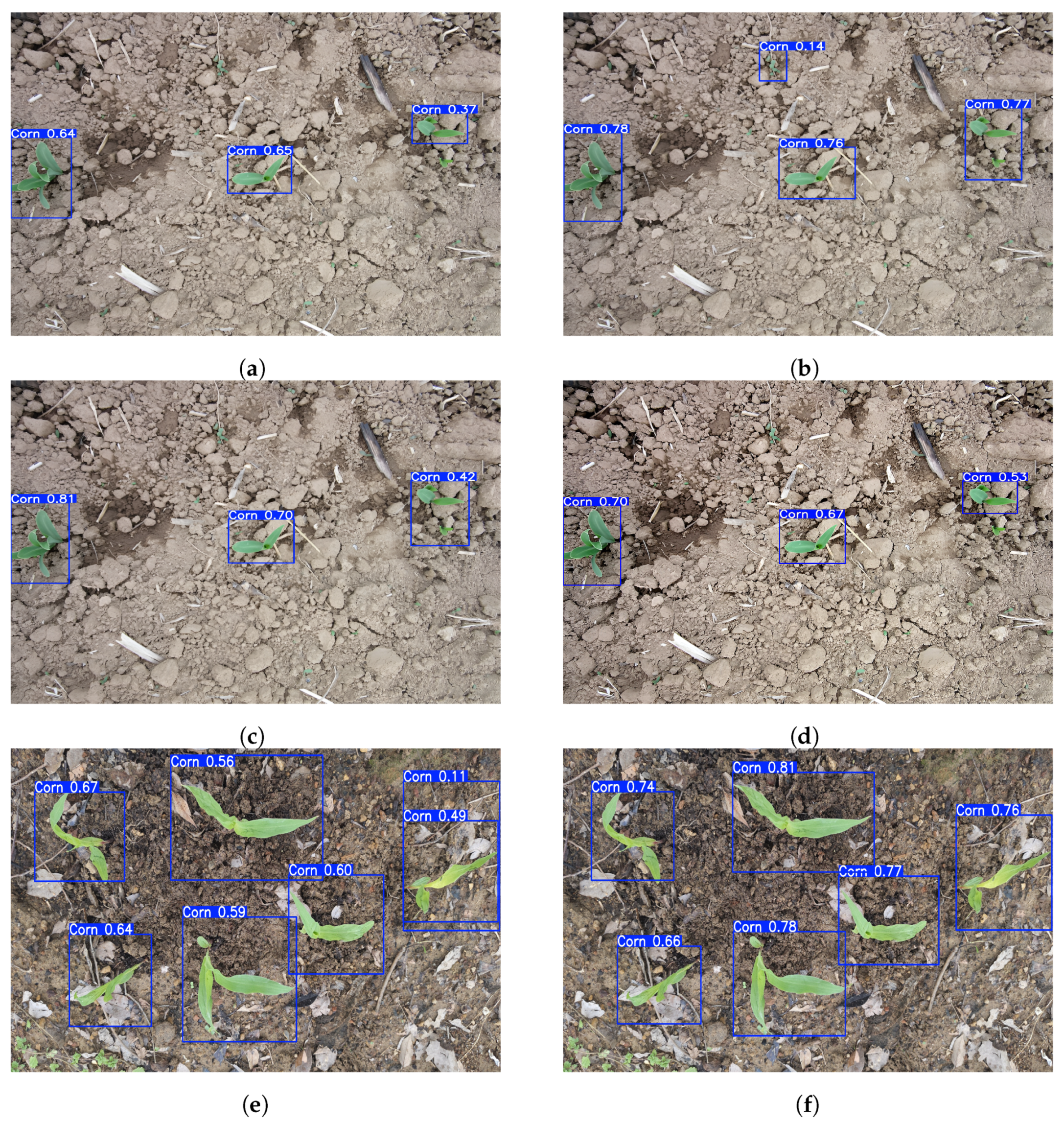Agronomy 15 01788 g009