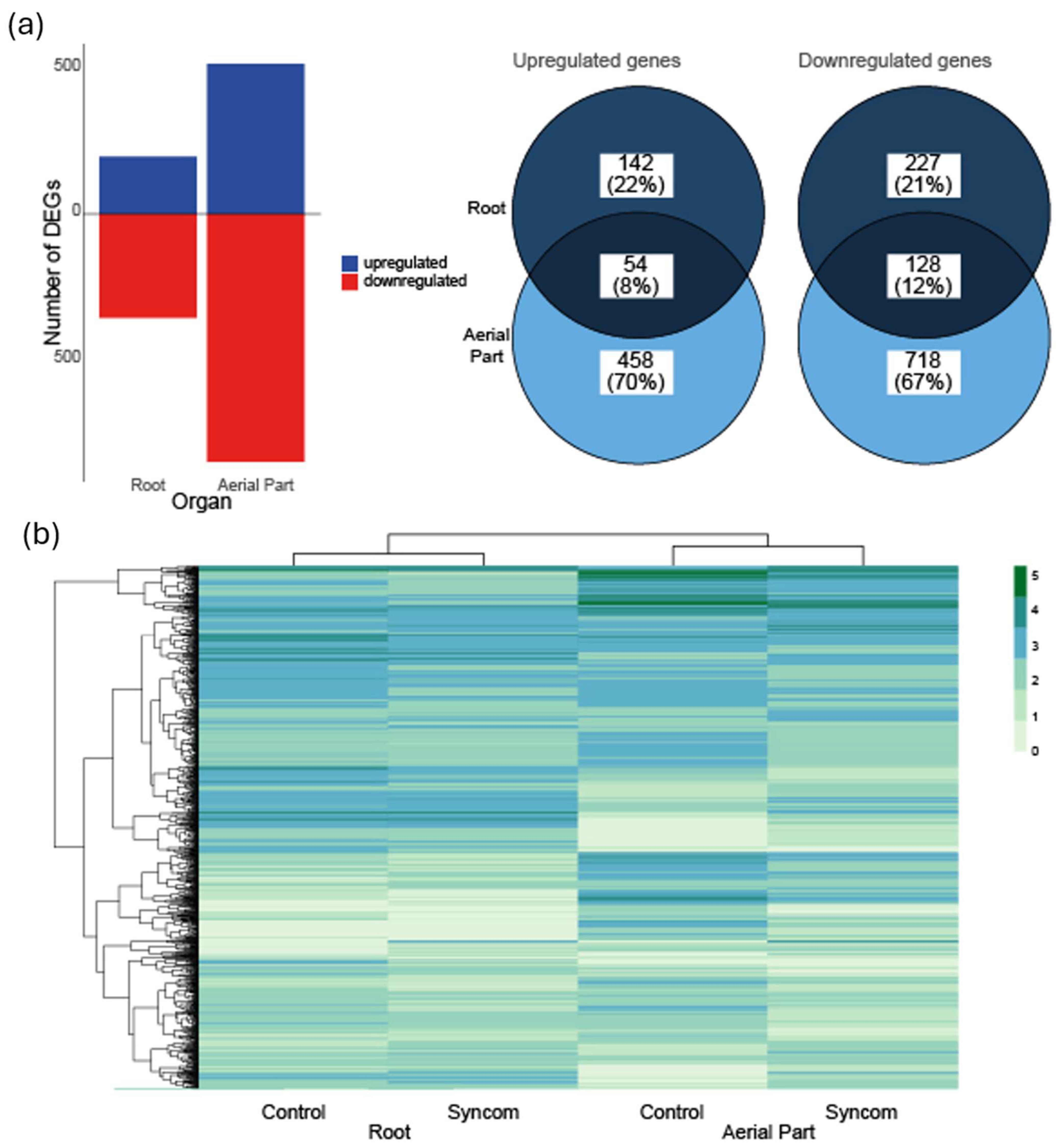 Agronomy 15 01794 g003