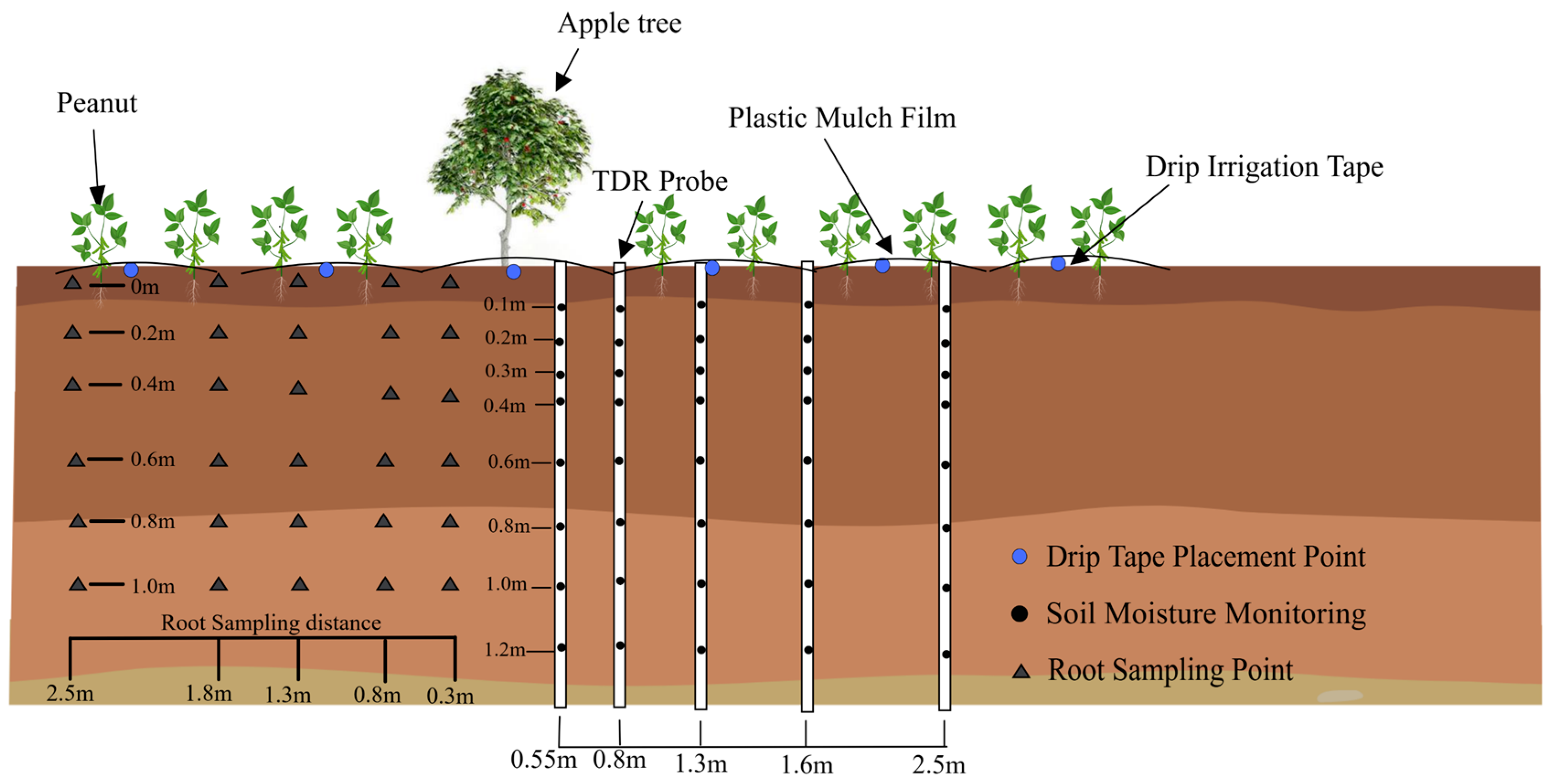 Agronomy 15 01798 g003