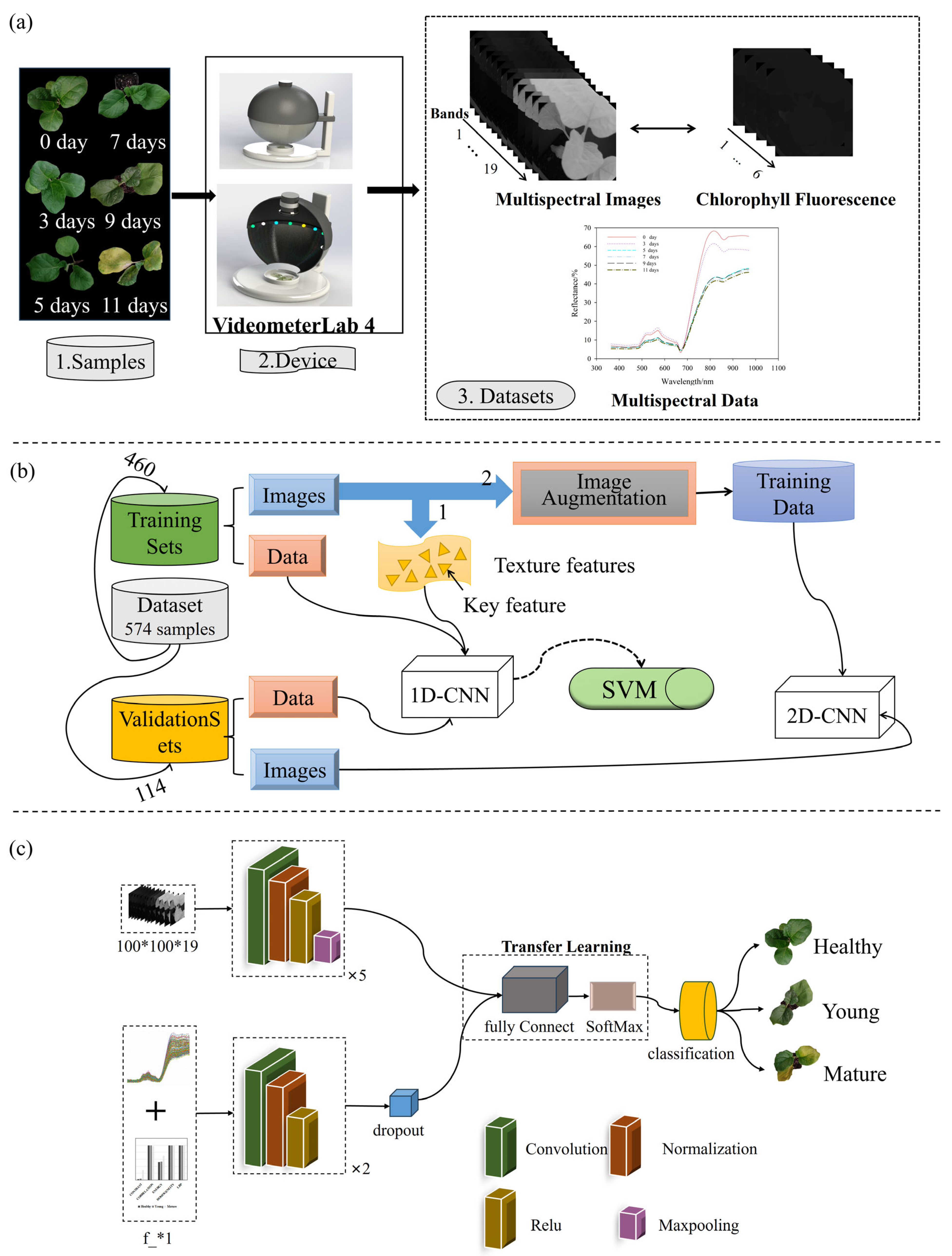 Agronomy 15 01799 g001