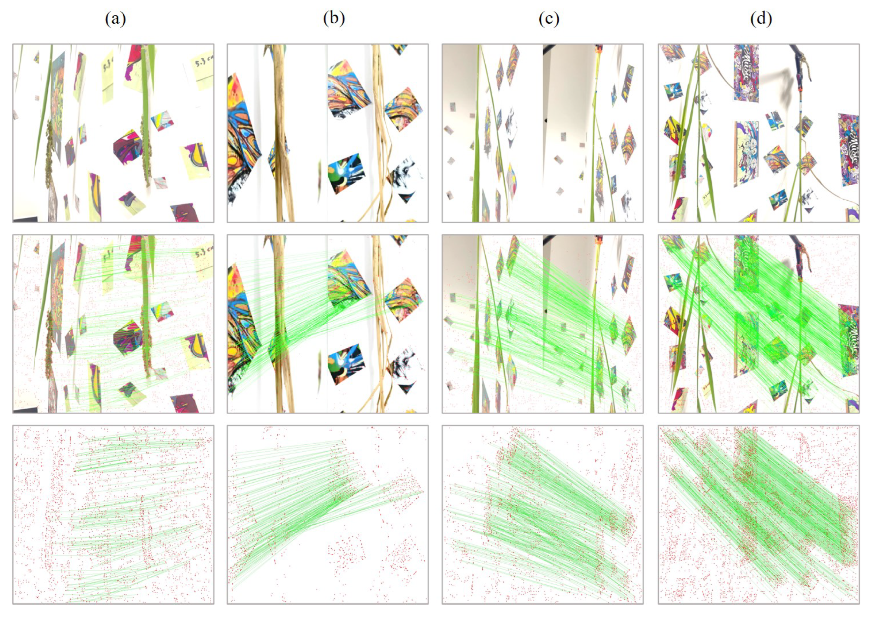 Agronomy 15 01803 g002